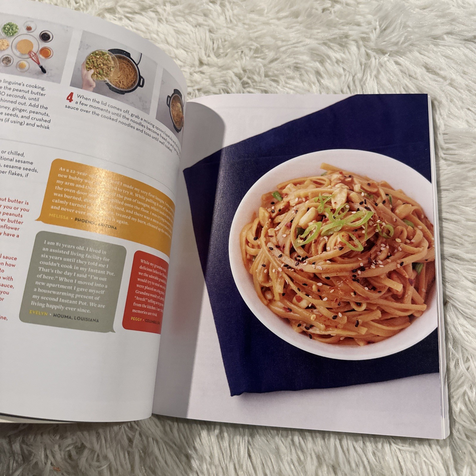 The simple Comforts Step by Step Instant Pot Cookbook by Jeffrey Eisner NEW