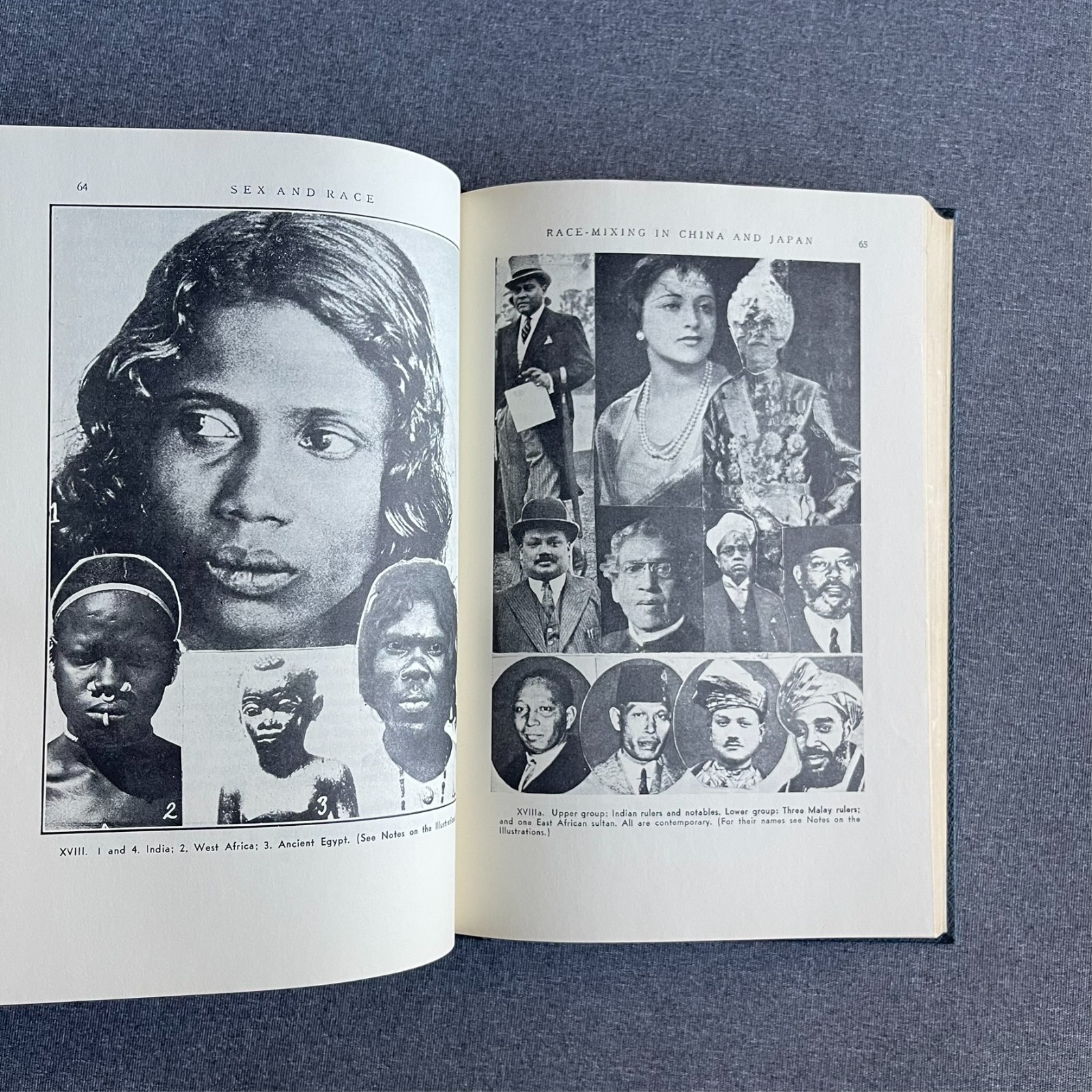 Sex and Race, Volume 1: Negro-Caucasian Mixing in All Ages and All Lands