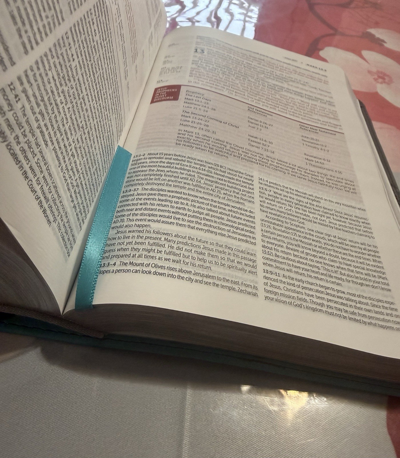 NIV Life Application Study Bible 3rd Edition Zondervan Gray Teal