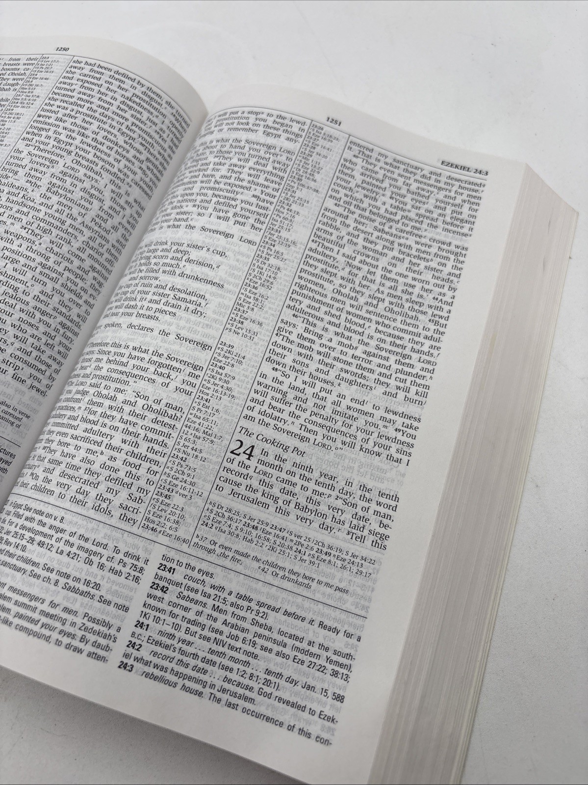 NIV Study Bible : Personal-Size by Donald Burdick (1995, Trade Paperback)