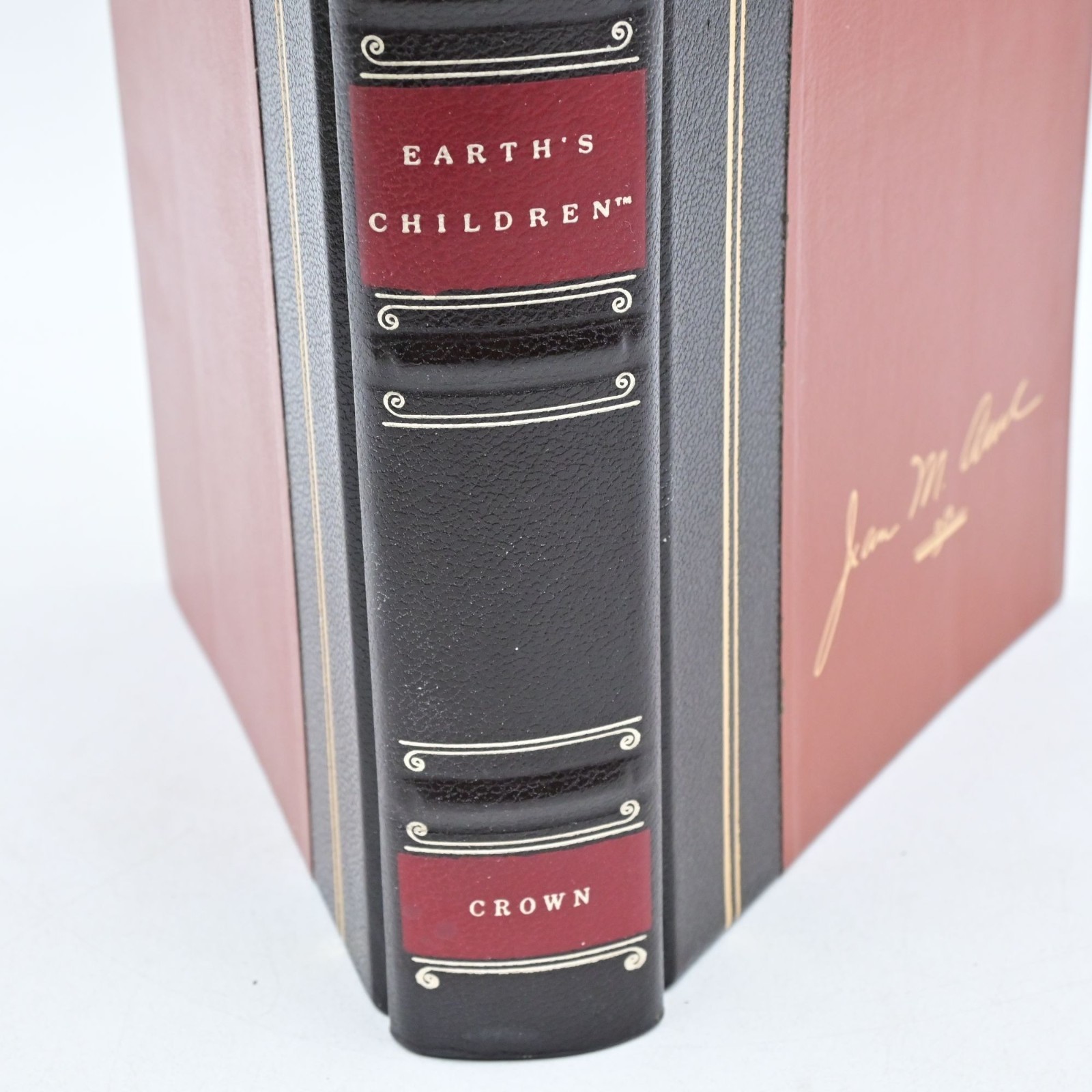 Clan of the Cave Bear Book Jean M Auel Hardcover Earth’s Children