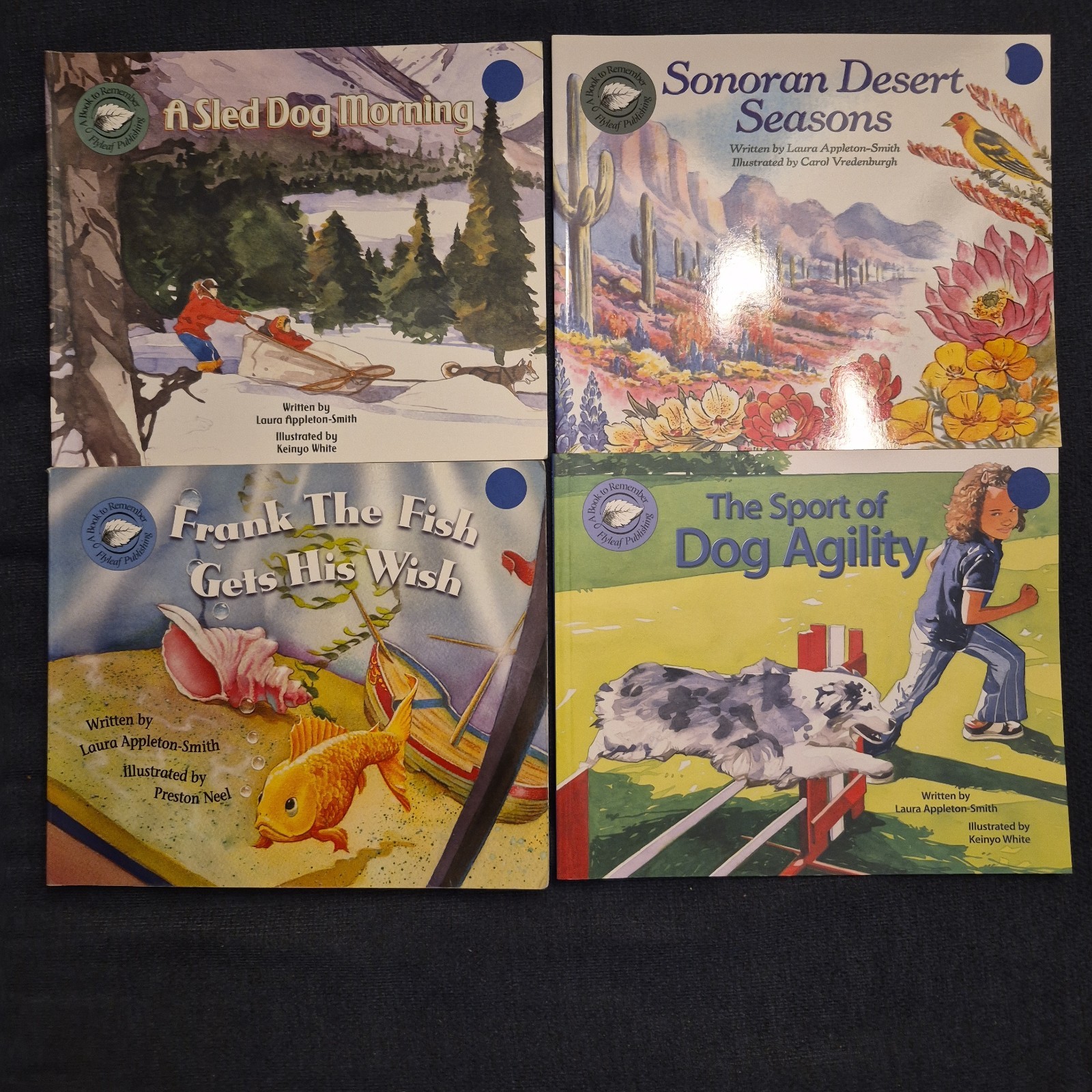 LOT OF 20 A BOOK TO REMEMBER FLYLEAF PUBLISHING DECODABLE READING HOMESCHOOL