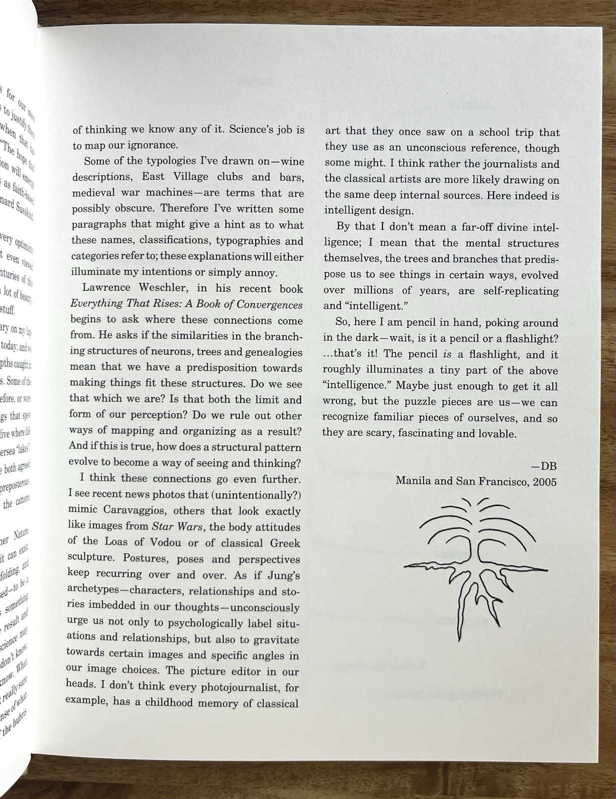 David Byrne Arboretum McSweeney’s 2006 Conceptual Art Book Illustrated