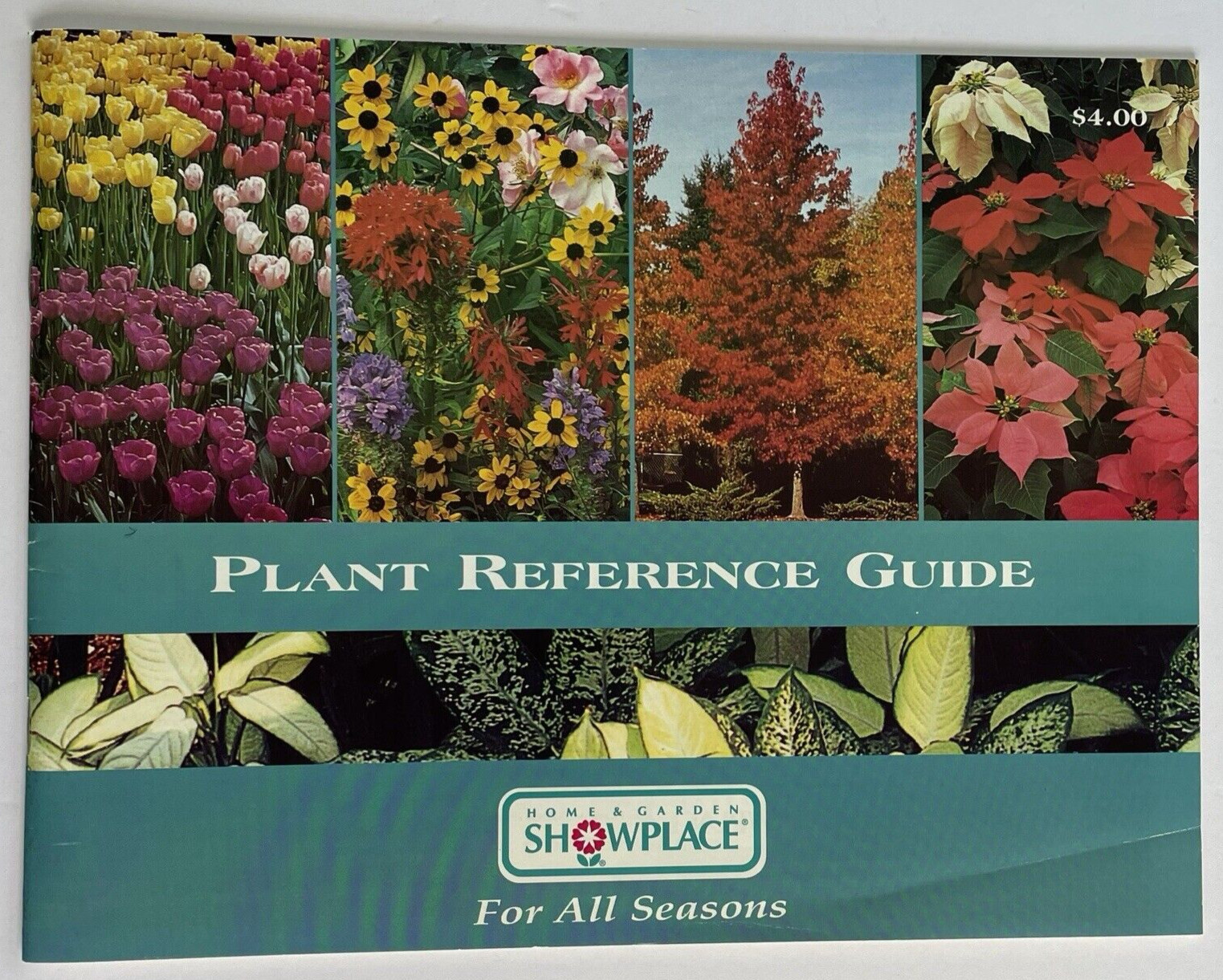 Lot x4 Gardening, Potted Plants, Lawns, Containers, Yards Flowers Gardens
