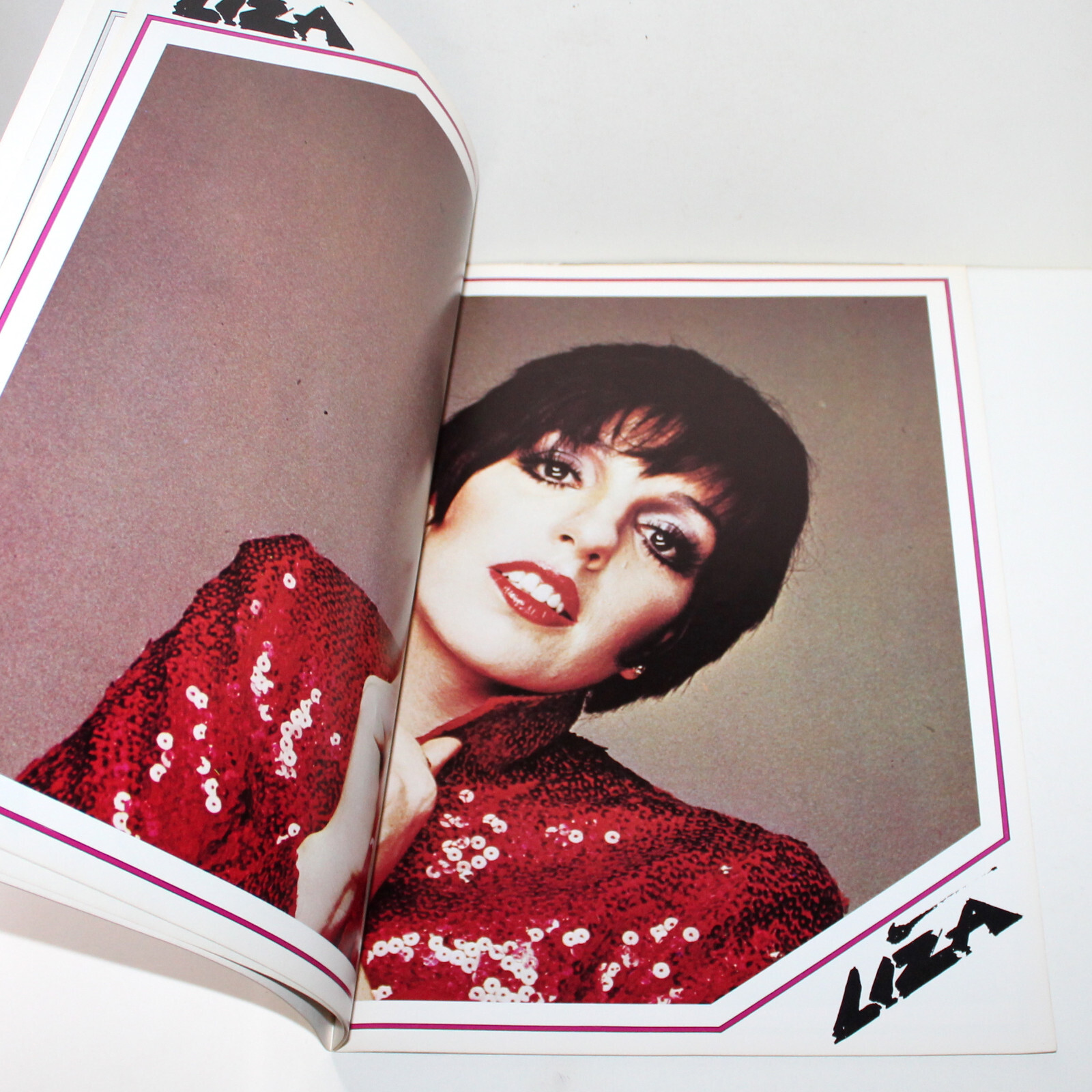 Vintage Liza Minnelli In Concert Souvenir Program 1979 1980 Broadway Theater