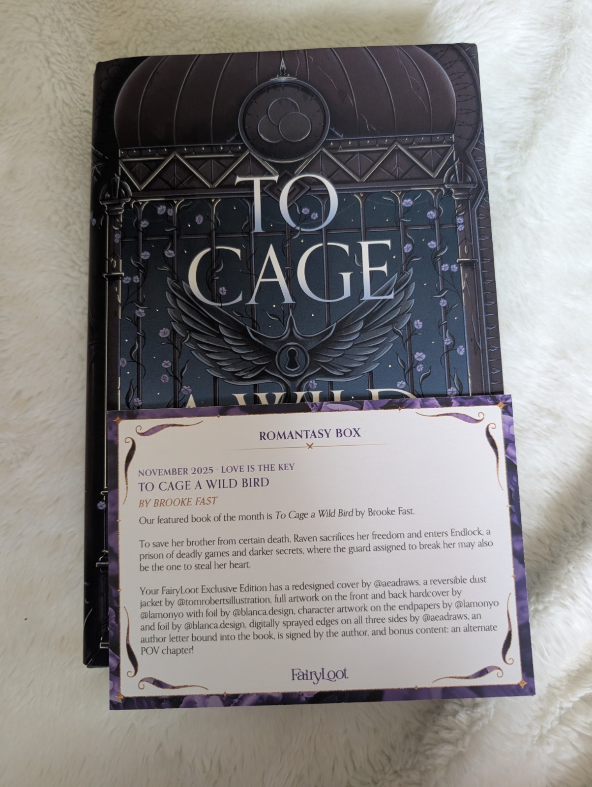 To Cage a Wild Bird by Brooke Fast – Fairyloot Special Edition
