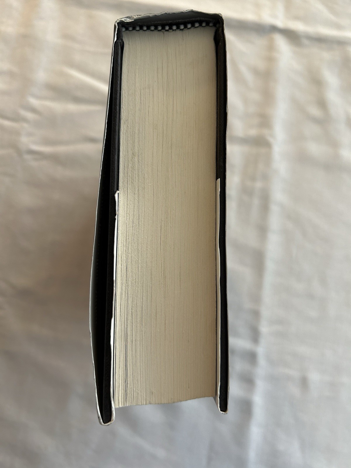 Chainfire by Terry Goodkind (2005, First Ed. HC)