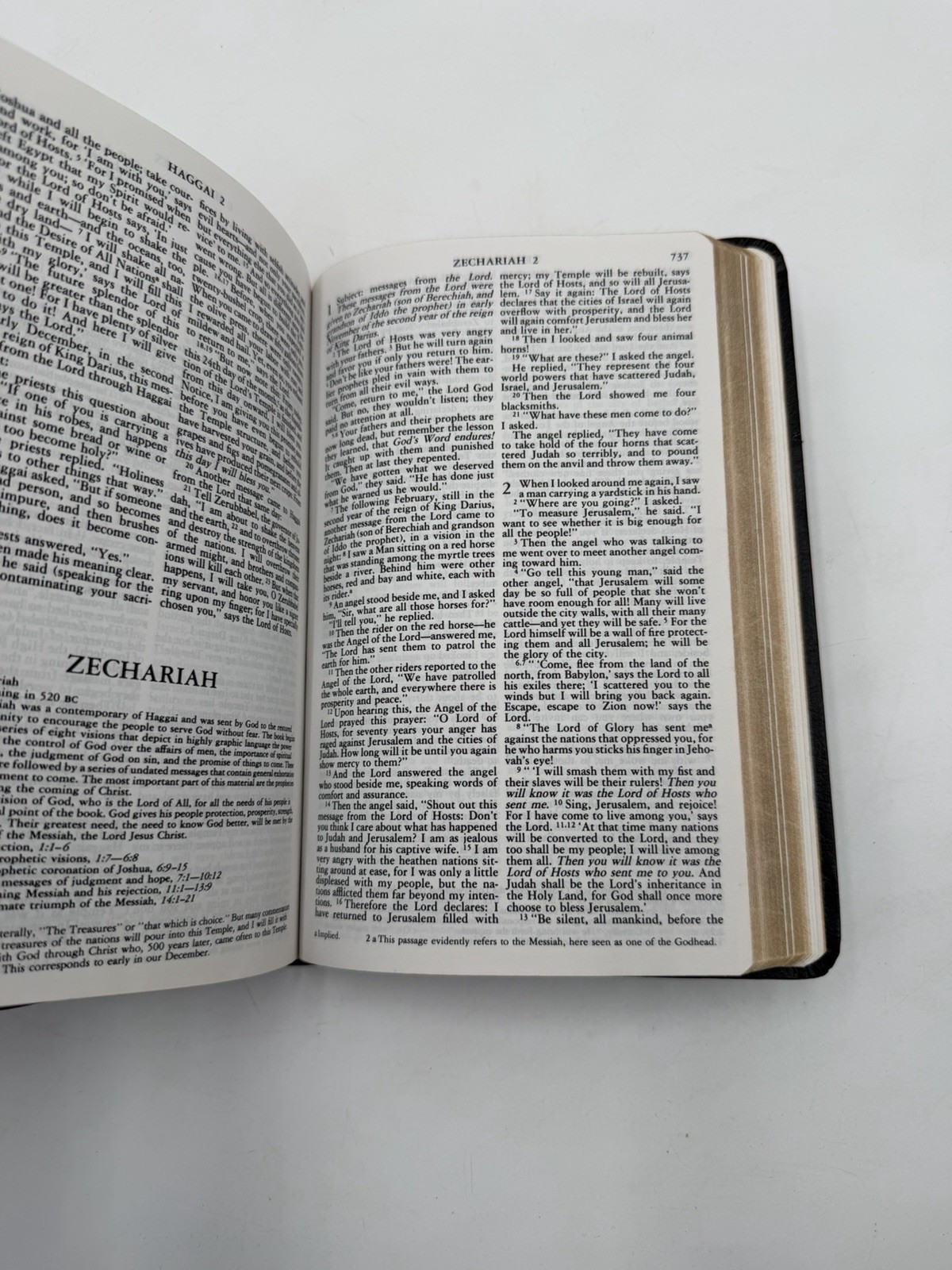 VTG The Catholic Living Bible Red Letter 1976 Leather 9th Print Tyndale 2363-2