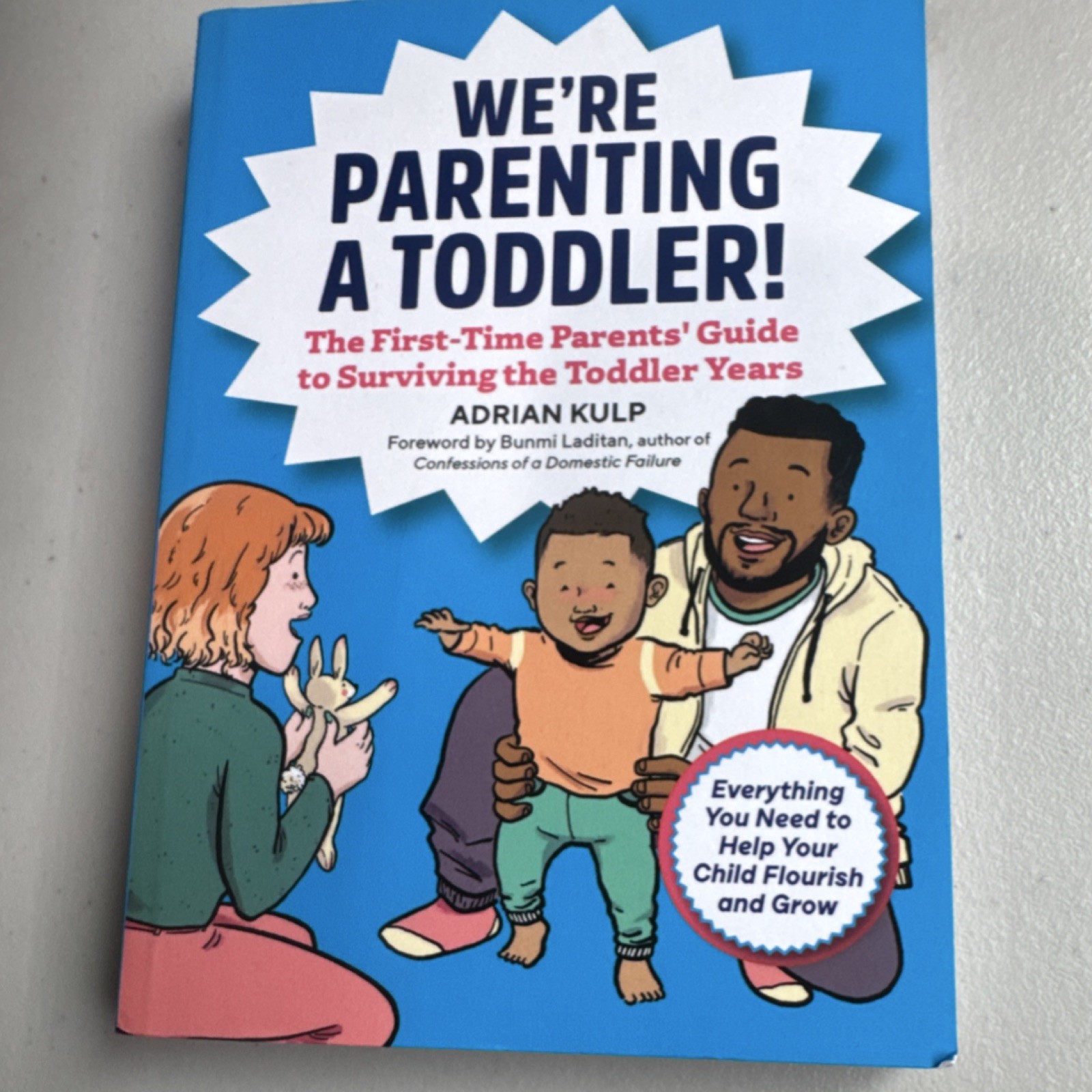 Rockridge Press We’re Parenting a Toddler Adrian Kulp Paperback 2020s Guide