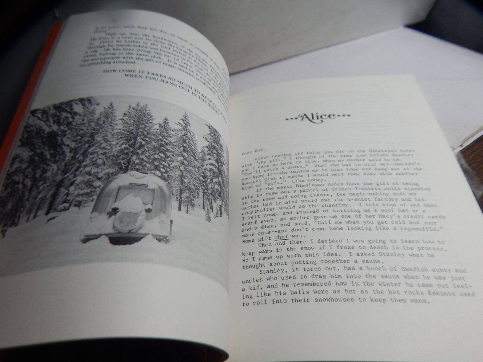 Cross-Country Ski, Cook, Look and Pleasure Book – Hal Painter – 1973 – 1st ed.