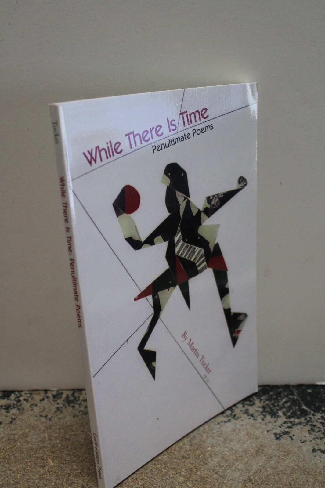 WHILE THERE IS TIME: penultimate poems by Martin Tucker NEW