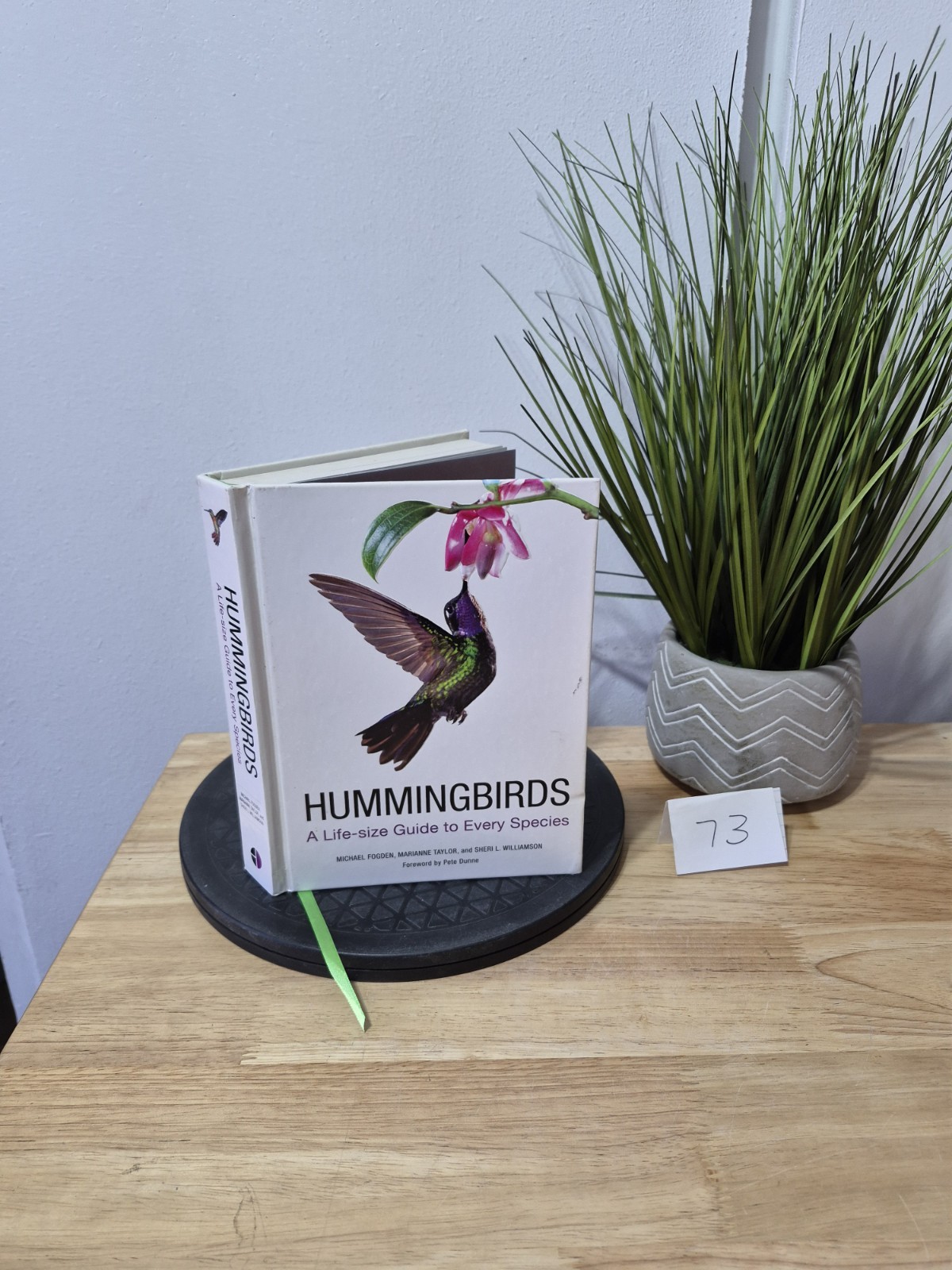 Hummingbirds: A Life-size Guide to Every Species, Fogden, Michael, Taylor, Maria