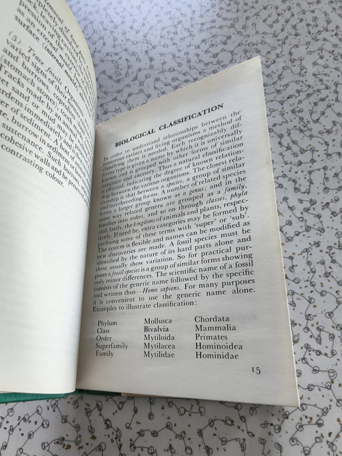 The Observer’s Book of Fossils by Rhona M. Black 1977 First Edition Hardback