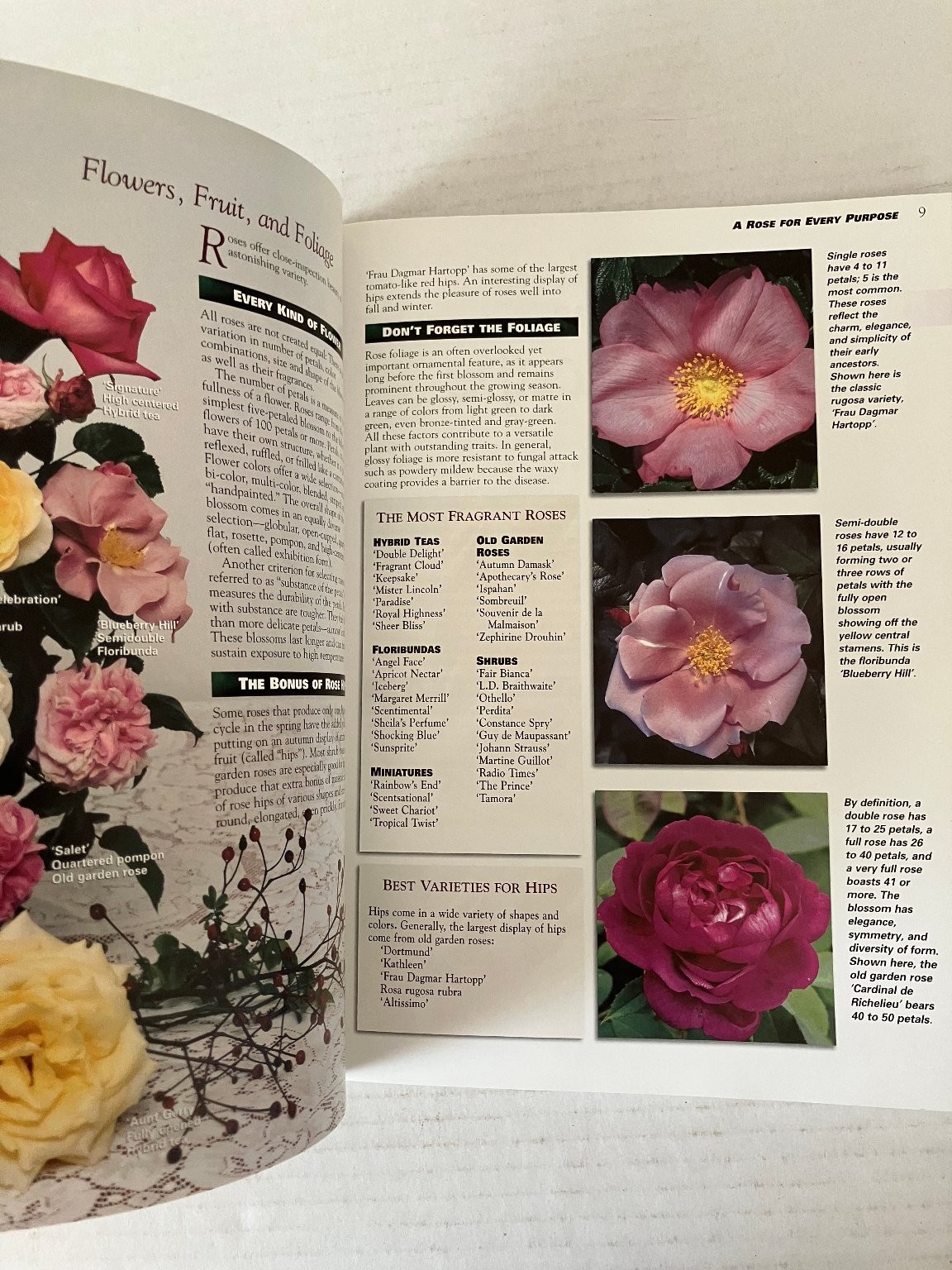 Ortho’s All About Roses 1999 First Edition Gardening Guide Meredith Corp PB