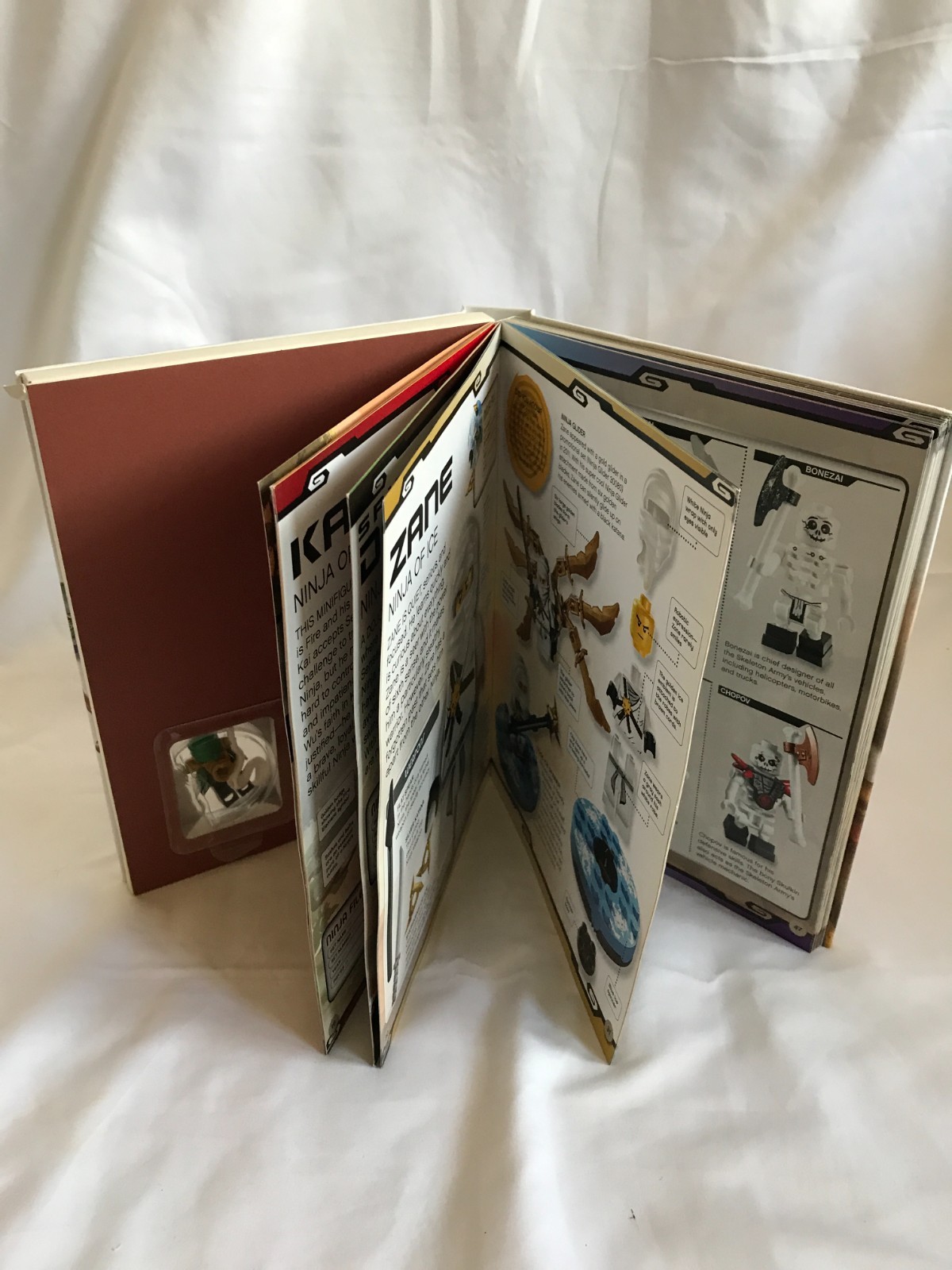 LEGO NINJAGO : Character Encyclopedia With Figure