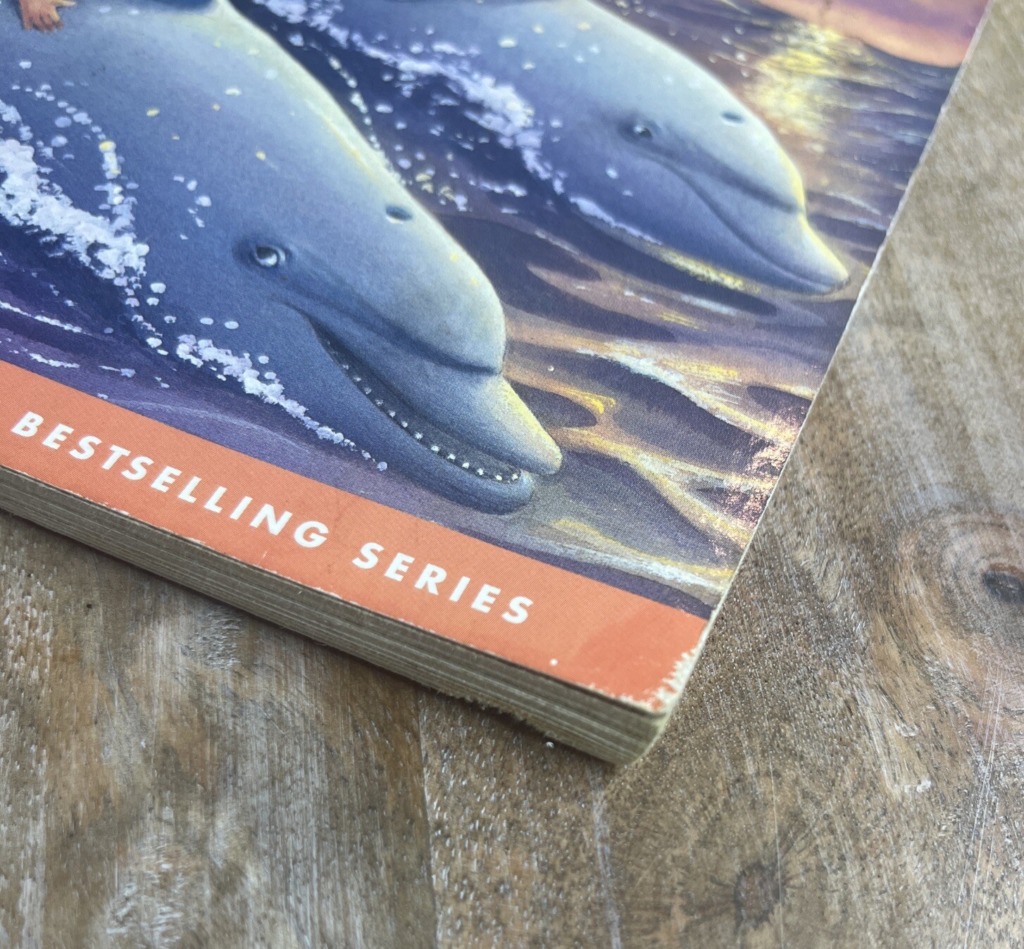 Dolphins at Daybreak (Magic Tree House, No. 9)