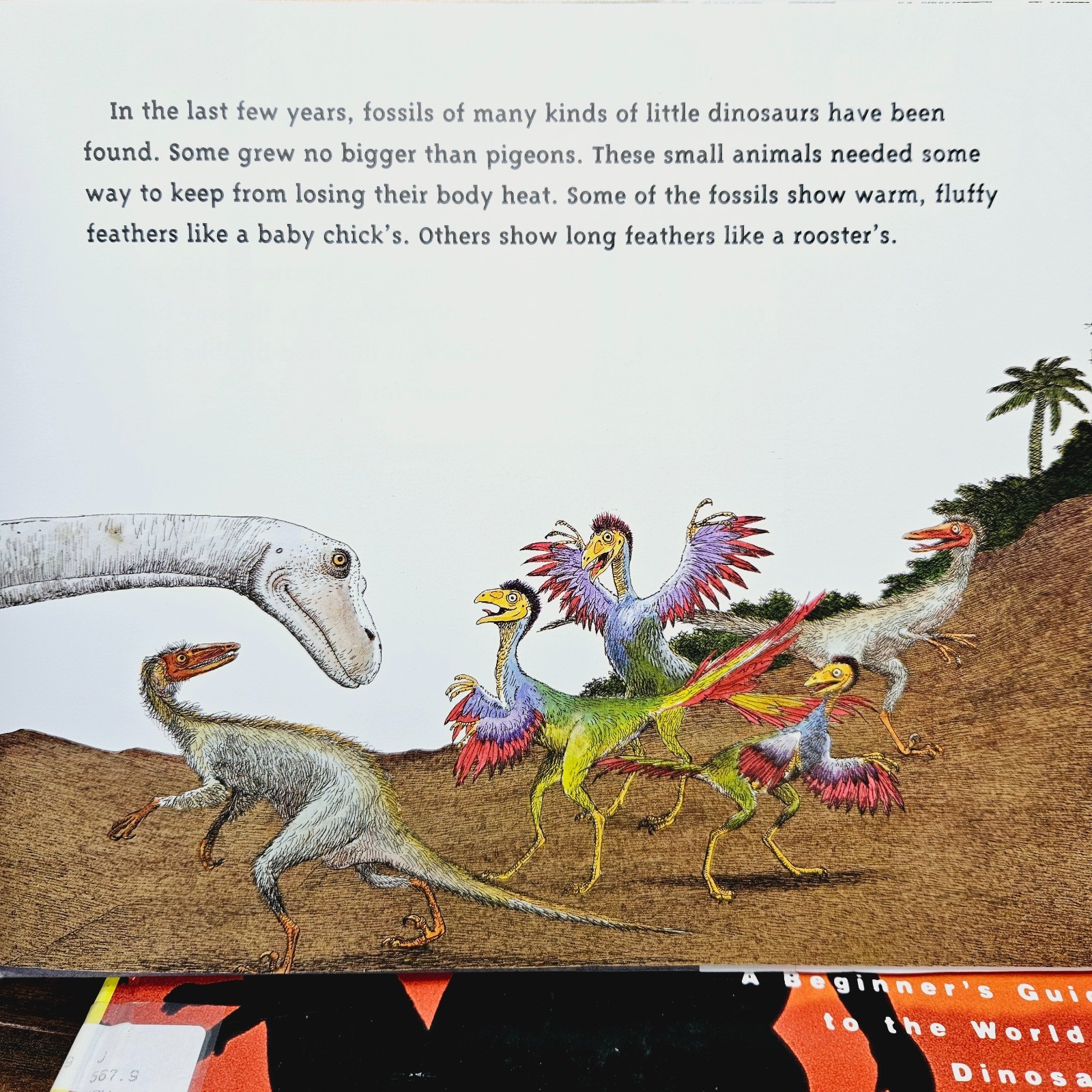 Kids Books About Dinosaurs Lot of 10 Homeschool Classroom Library Eyewitness