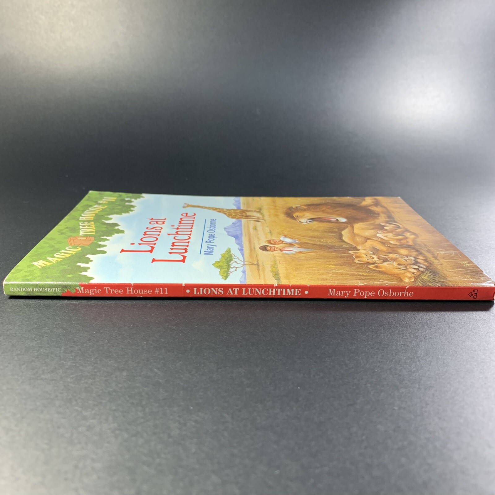Lions At Lunchtime MAGIC TREE HOUSE #11 Mary Pope Osborne Scholastic 1998