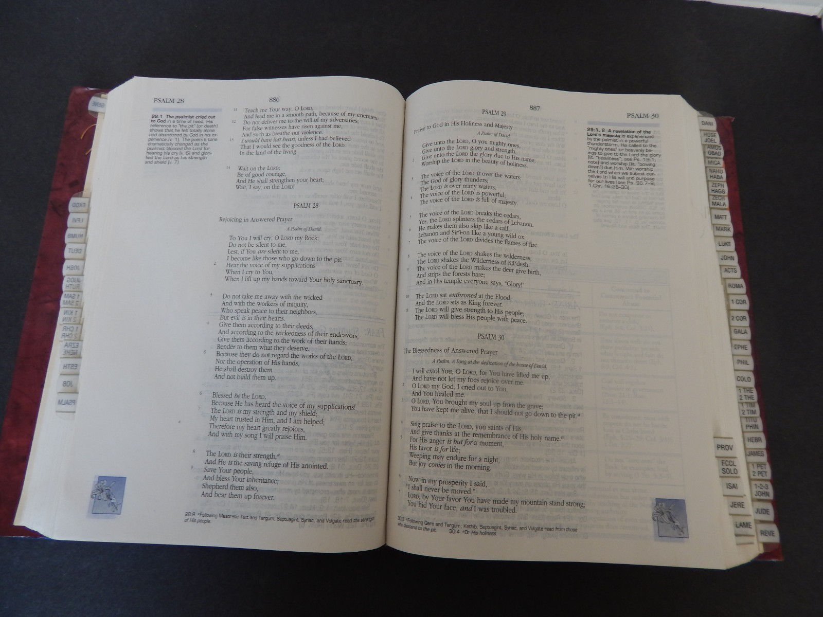 Woman’s Study Bible NKJV by Thomas Nelson Pub. (HBDJ 1995)