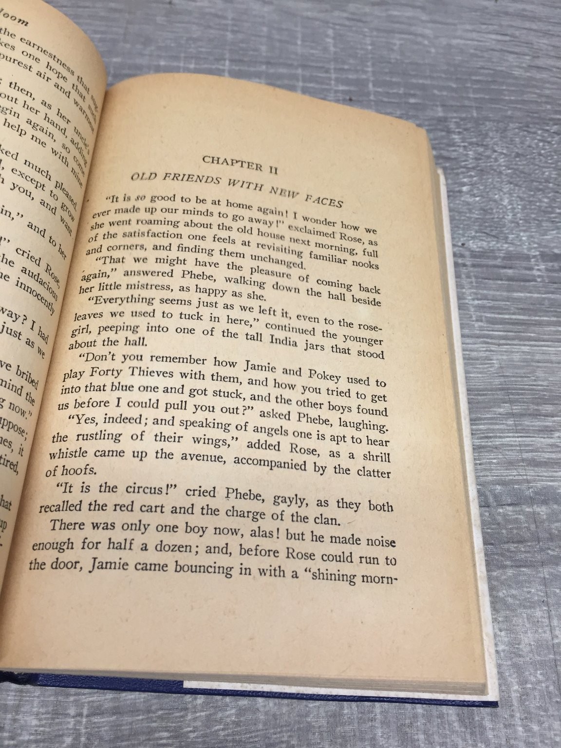 Rose in Bloom Louisa May Alcott 1927 Complete Authorized Edition Grosset Dunlap