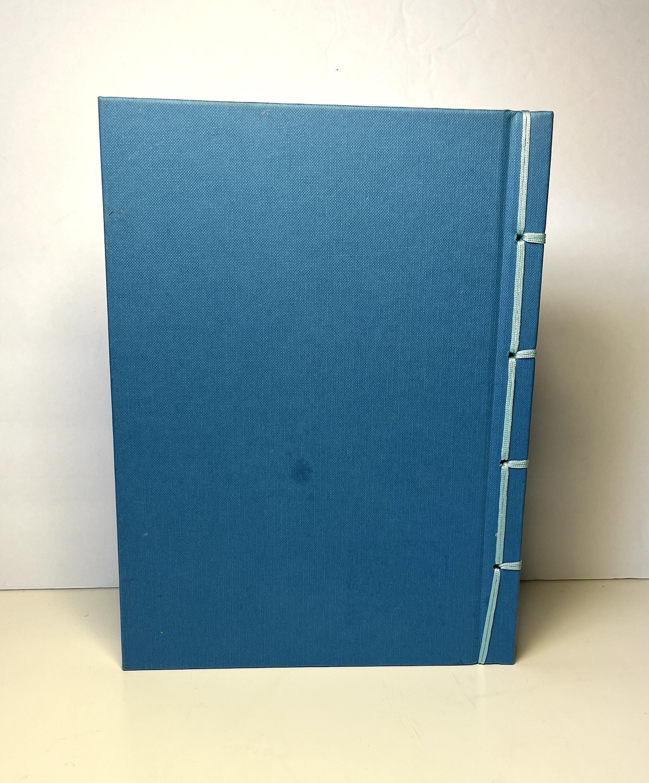 Runes Illustrated Rachel Newcombe 2025 hc Chinese Bound lavish illustrations VG