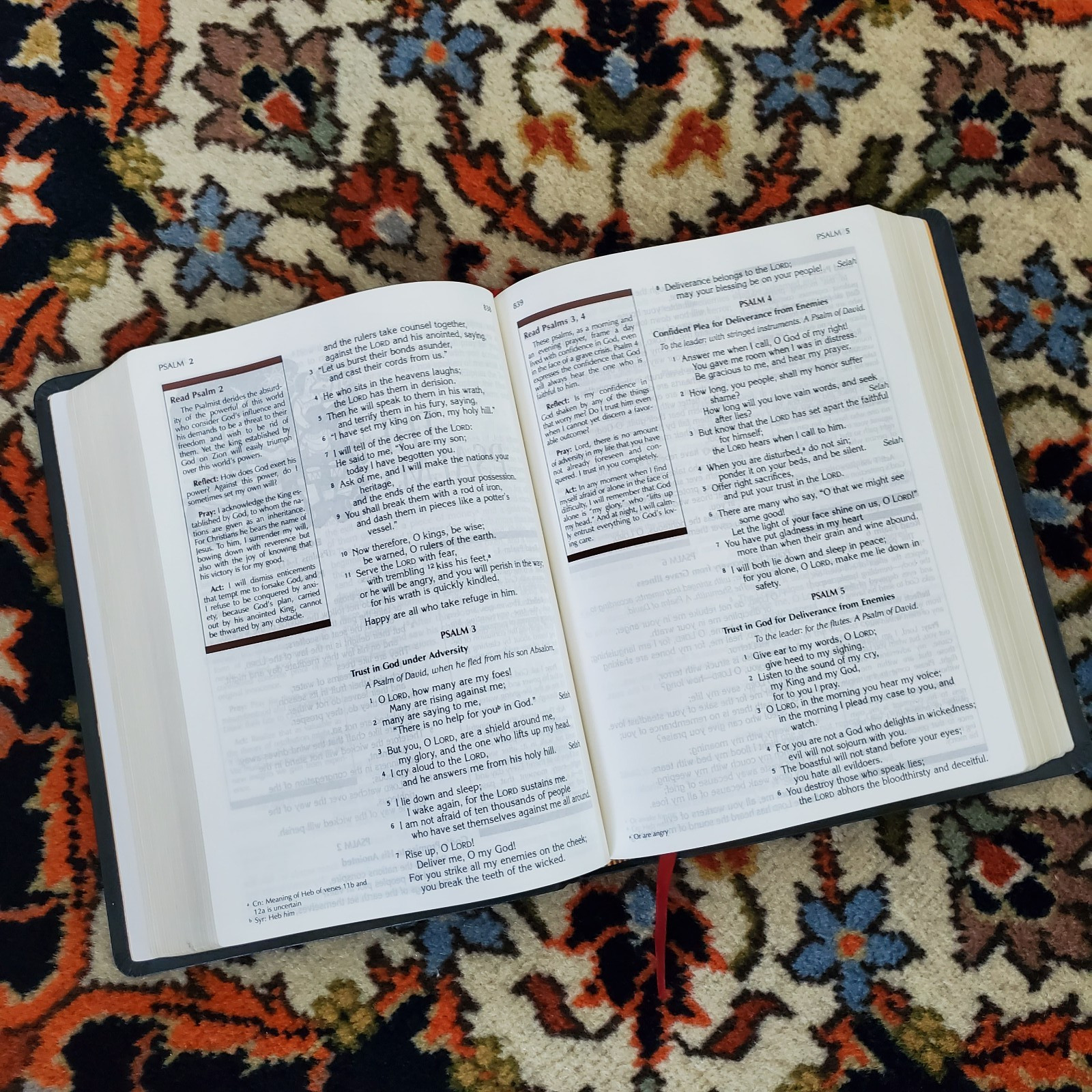 Catholic Prayer Bible Lectio Divina Edition NRSV New Revised Standard Ed Paulist