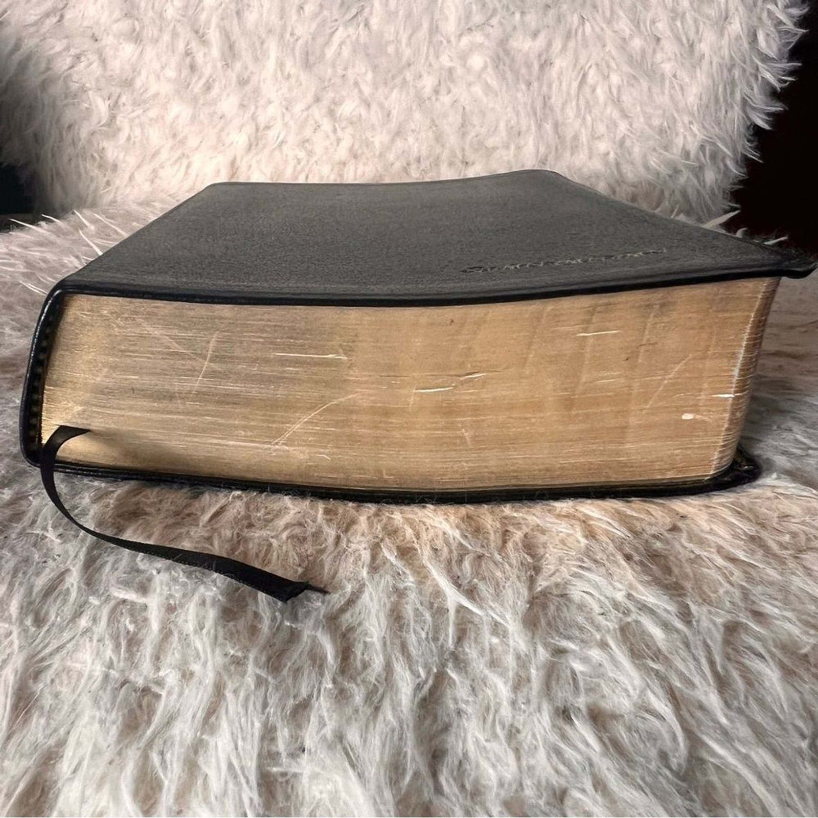 NIV Study Bible Black Leather Red Letter Zondervan Christian Religious