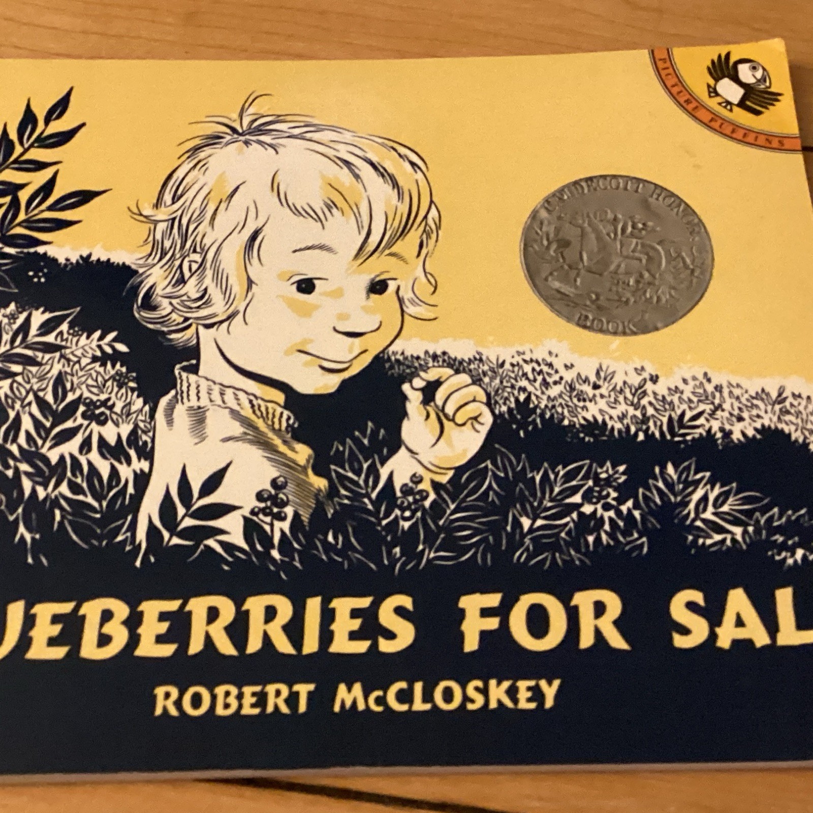 Blueberries for Sal by Robert McCloskey Hardcover Illustrated Picture Book