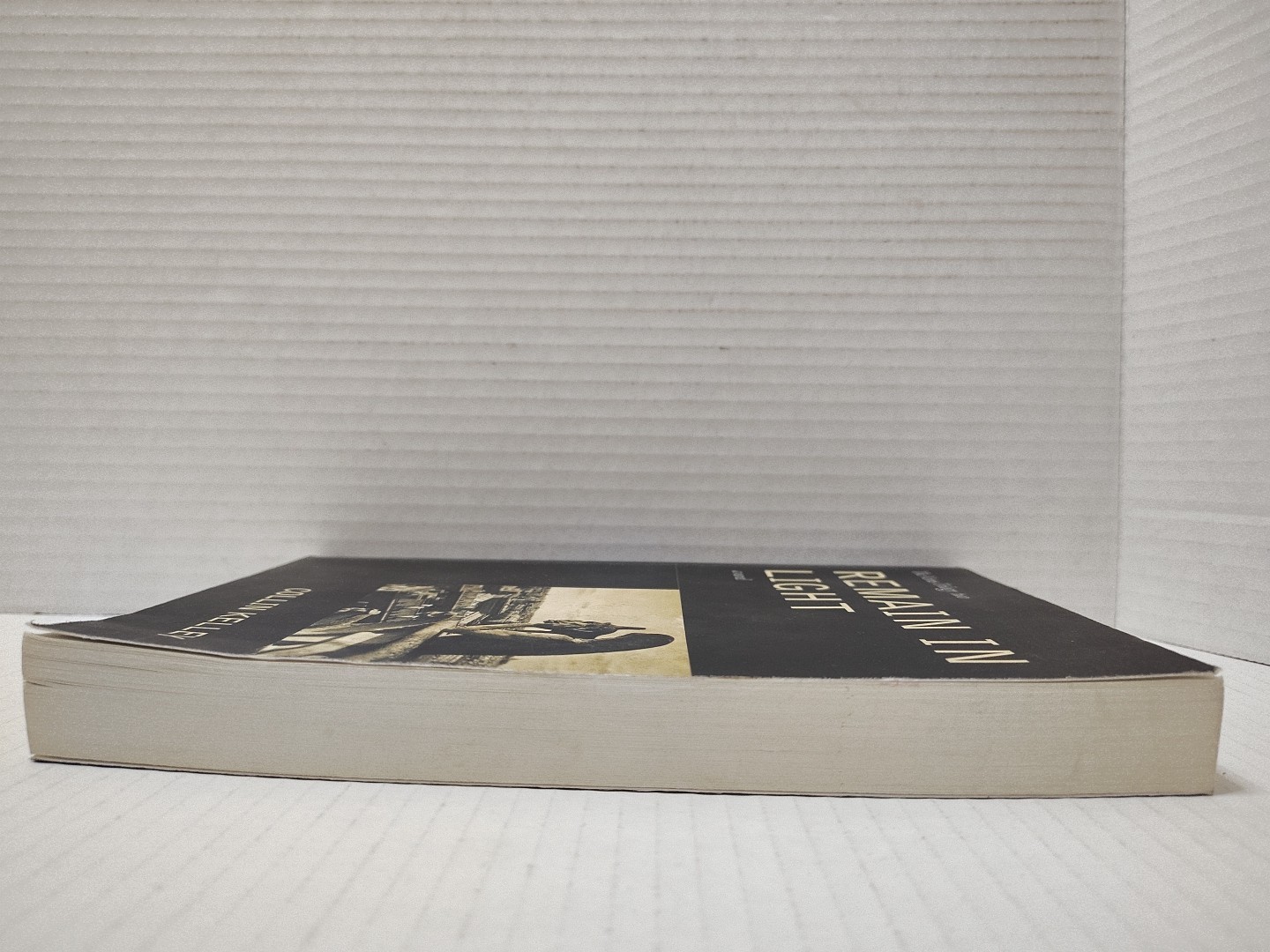 REMAIN IN LIGHT by Collin Kelley (2013, Pb) * FREE SHIPPING *
