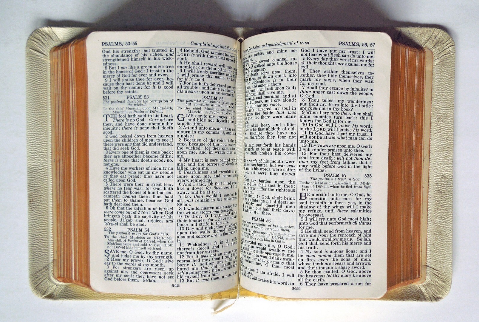 Holy Bible (King James Version) – vintage sc, The National Bible Press