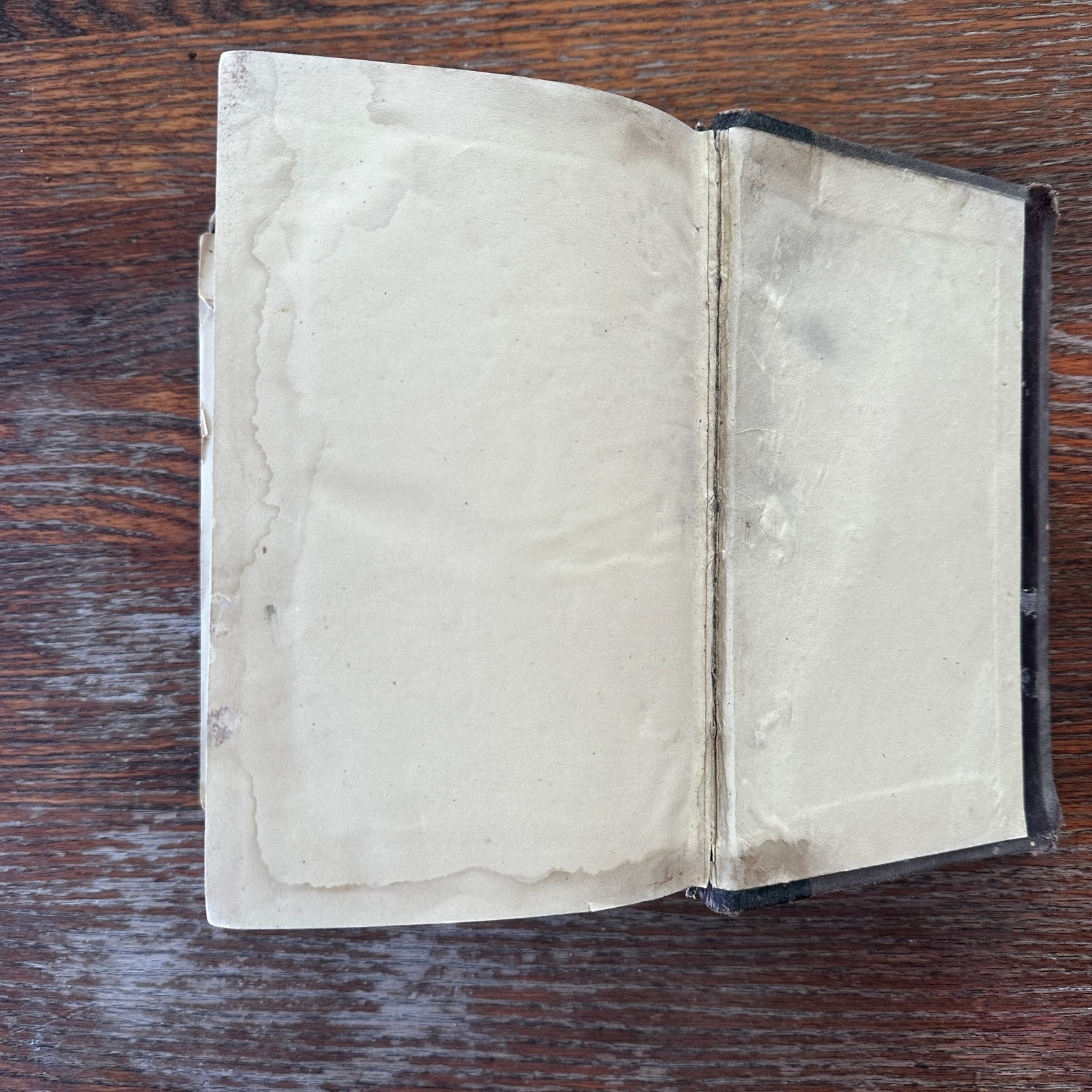Text Book of Modern Medicine and Surgery On Homeopathic Principles HC 1876