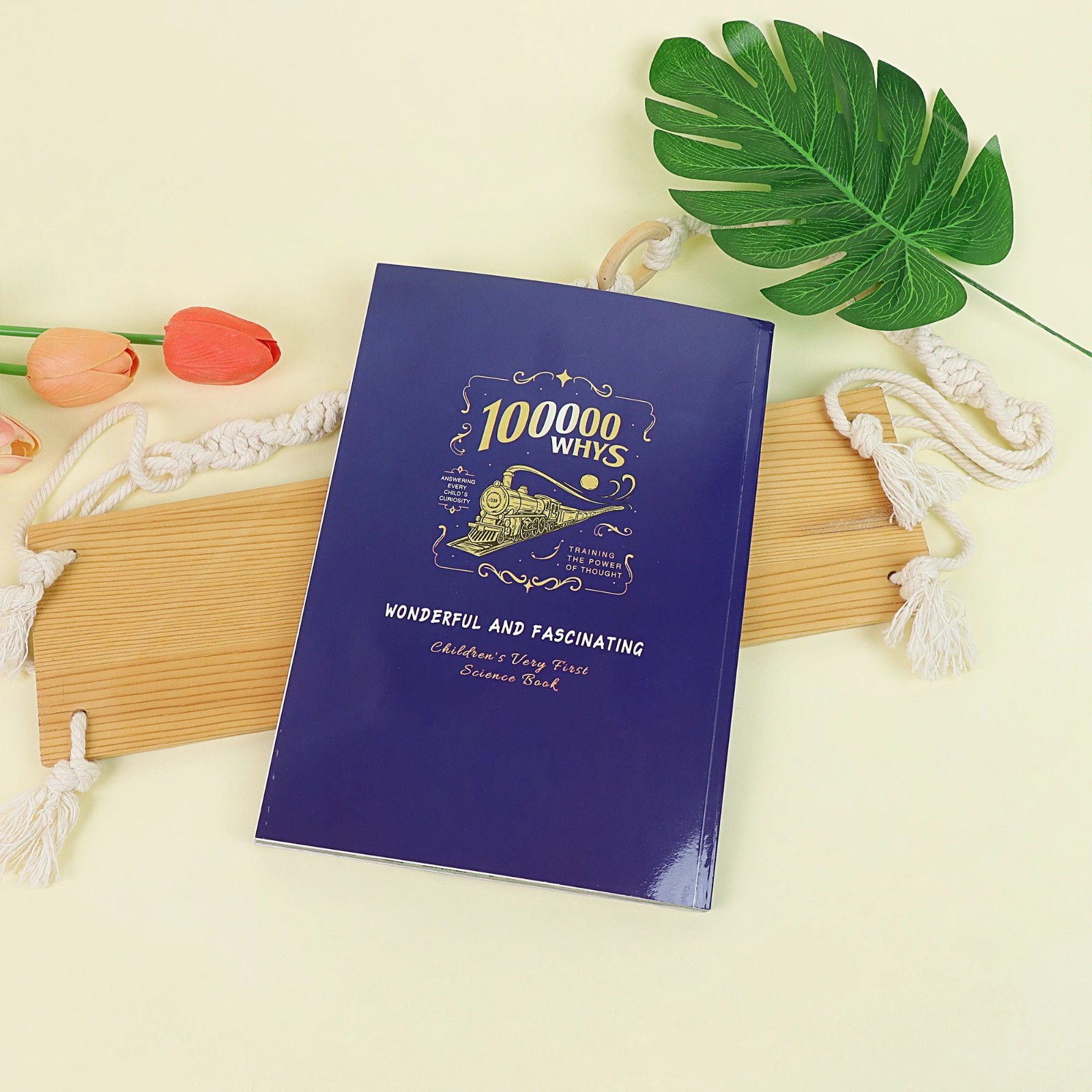 Children’s Encyclopedia Whys 100,000 Kids Book JQ Paperback