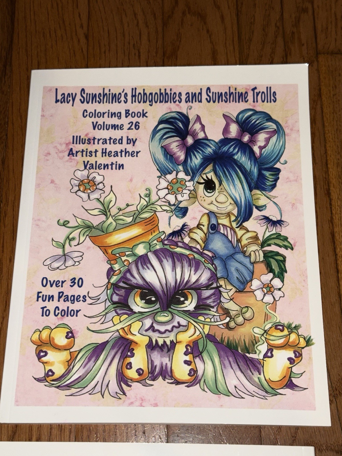 4 Adult Coloring Books: Heather Valentin under the “Lacy Sunshine” brand