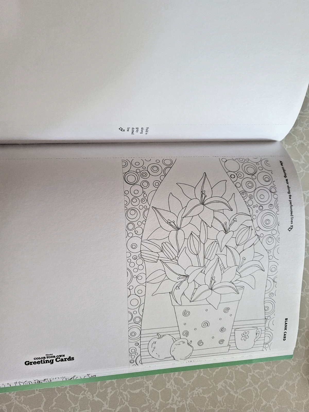 COLOR YOUR OWN GREETING CARDS Create 27 Fun & Festive Cards – Children & Adult