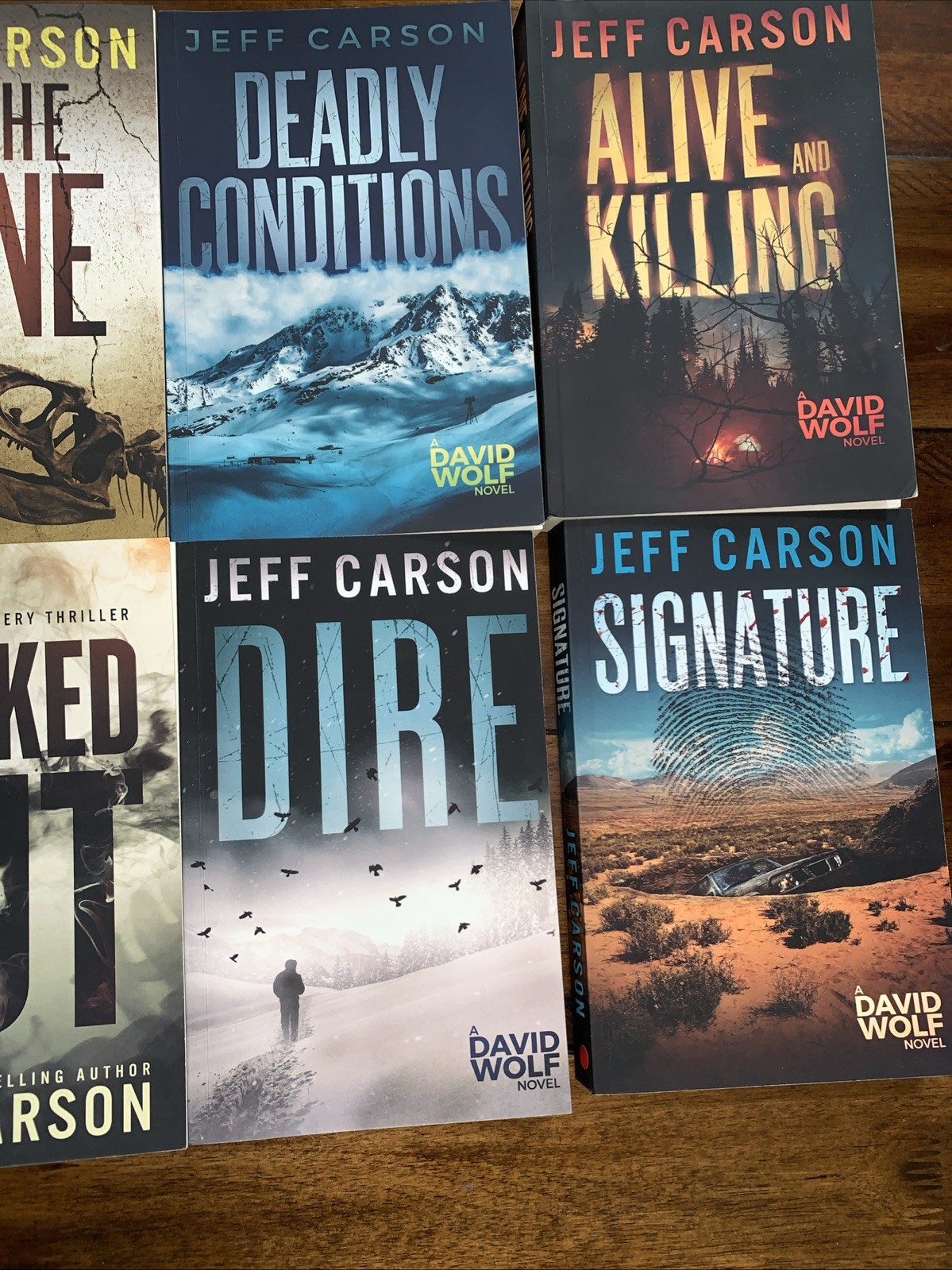 Lot of 7 David Wolf Mystery Jeff Carson Books