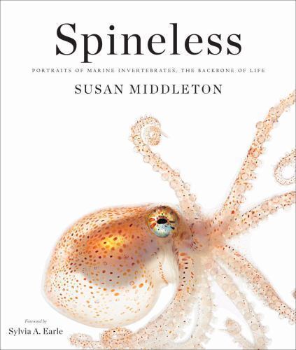 Spineless: Portraits of Marine Invertebrates, the Backbone of Life by