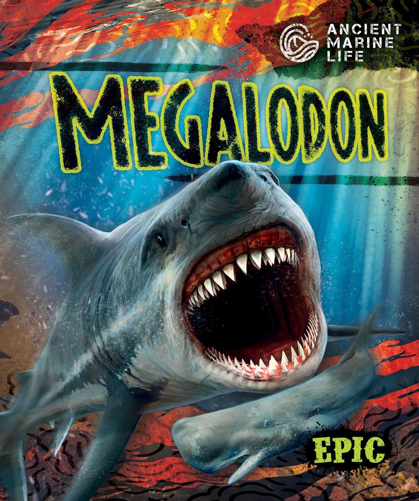 Megalodon (Ancient Marine Life)