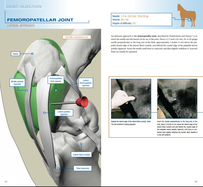 Equine Joint Injection and Regional Anesthesia 2 ED