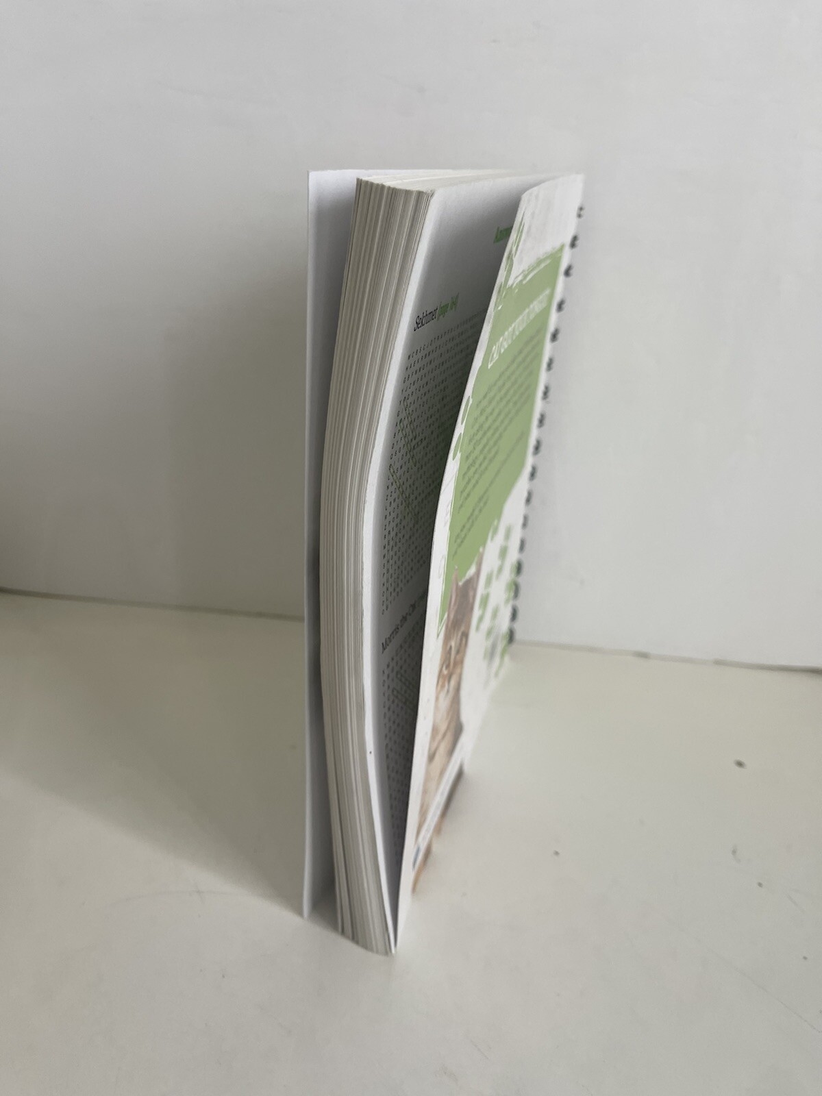 Brain Games Ser.: Brain Games – Cats Word Search Puzzles by Brain Games and…