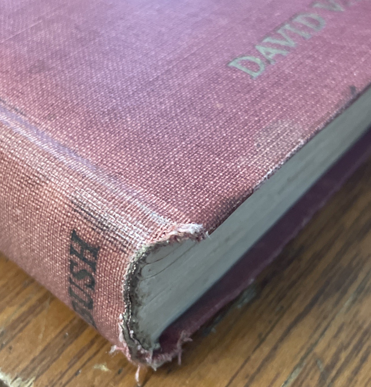 Psychology Of Sex : How To Make Love And Marry By David V. Bush 1924 Antique HC