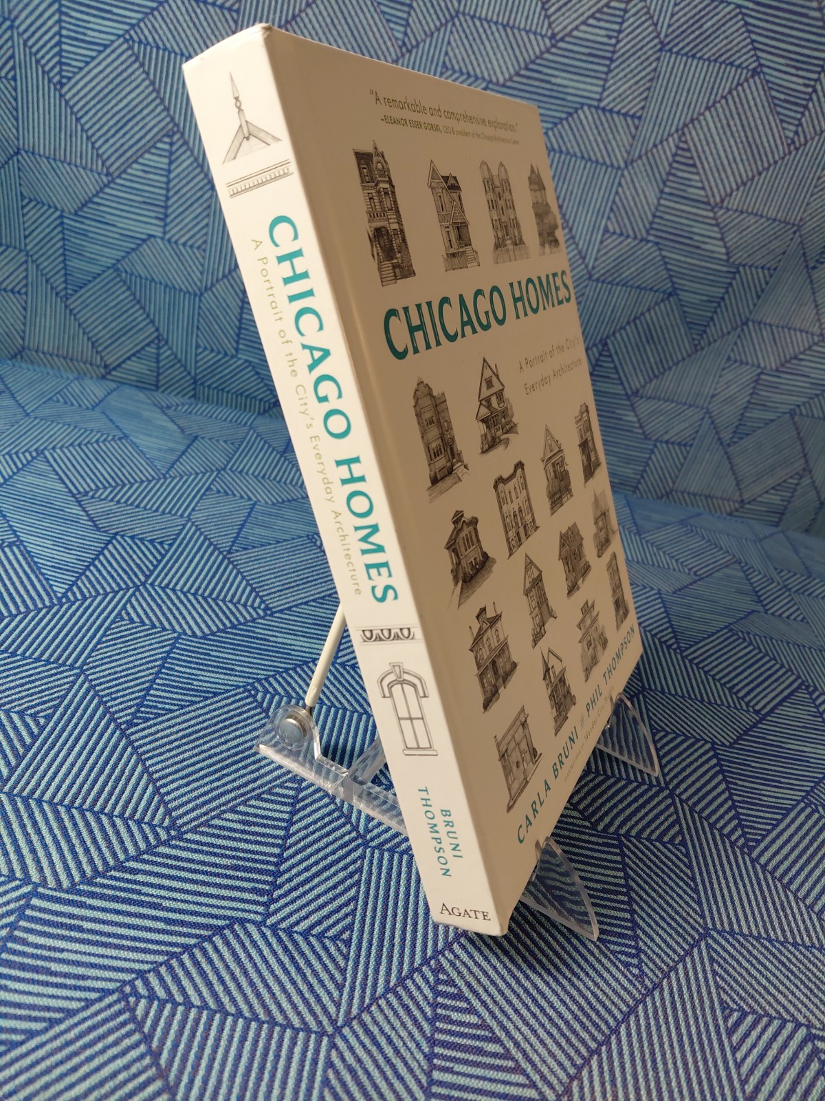 Chicago Homes: A Portrait of the City’s Everyday Architecture — Carla Bruni