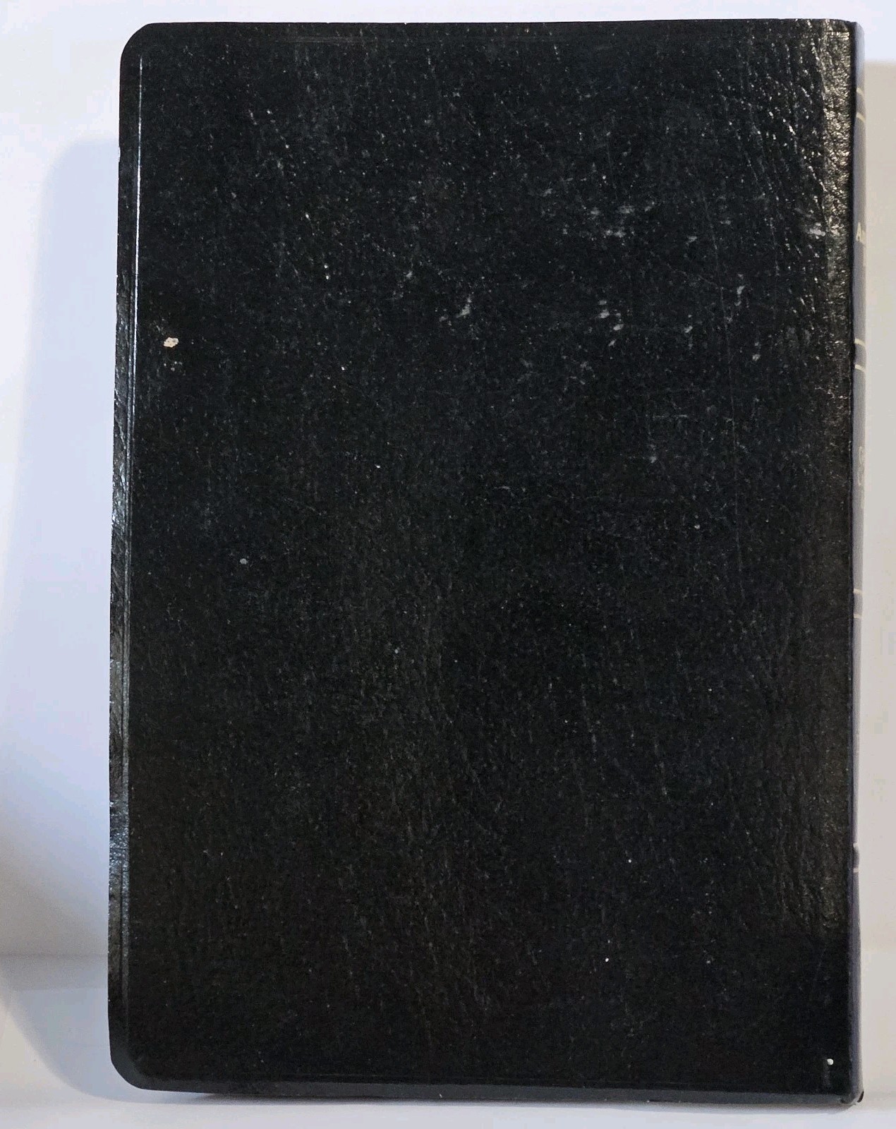 The New American Bible Red Letter Edition Catholic World Press Black 1997