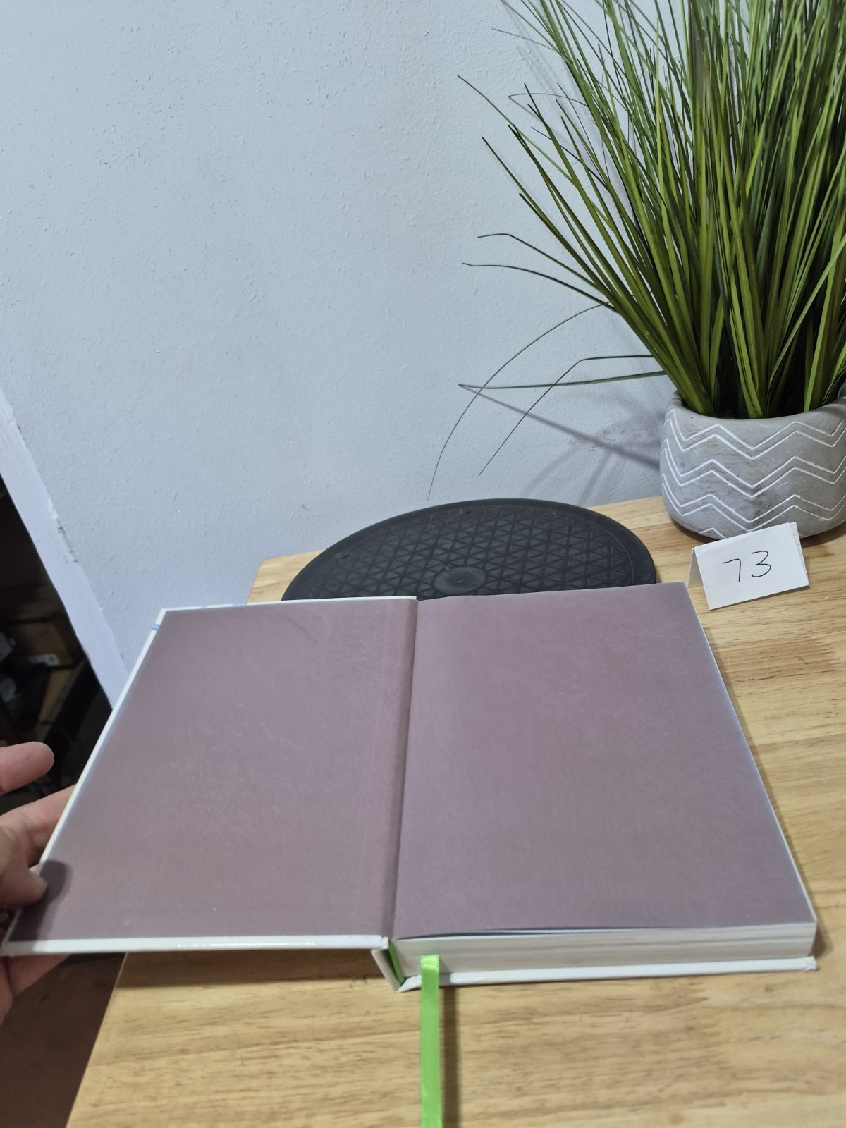 Hummingbirds: A Life-size Guide to Every Species, Fogden, Michael, Taylor, Maria