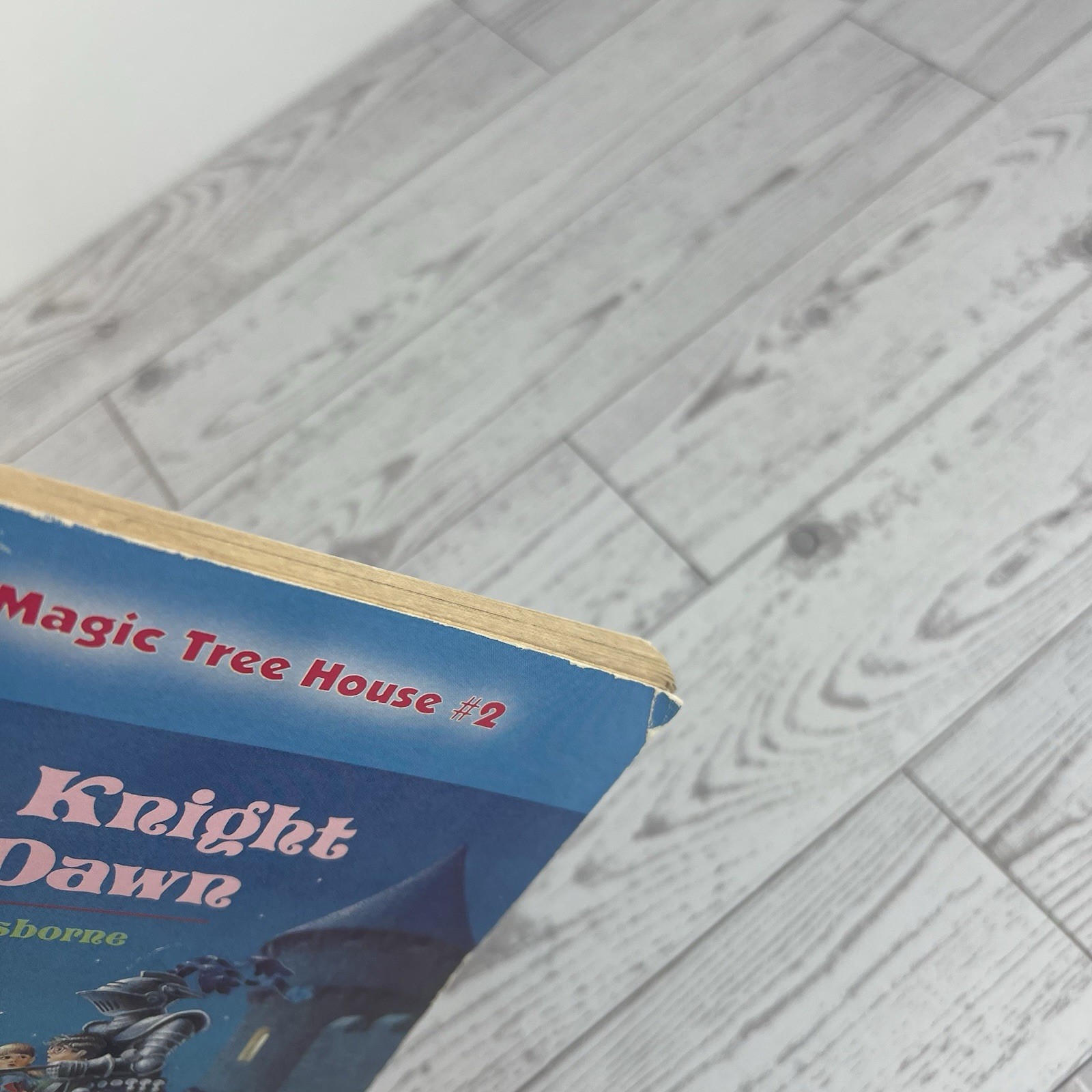 THE KNIGHT AT DAWN (MAGIC TREE HOUSE #2) MARY POPE OSBORNE SCHOLASTIC, INC. D1