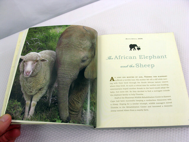 Unlikely Friendships Jennifer S Holland 2011 PB Animals Nature Relationships