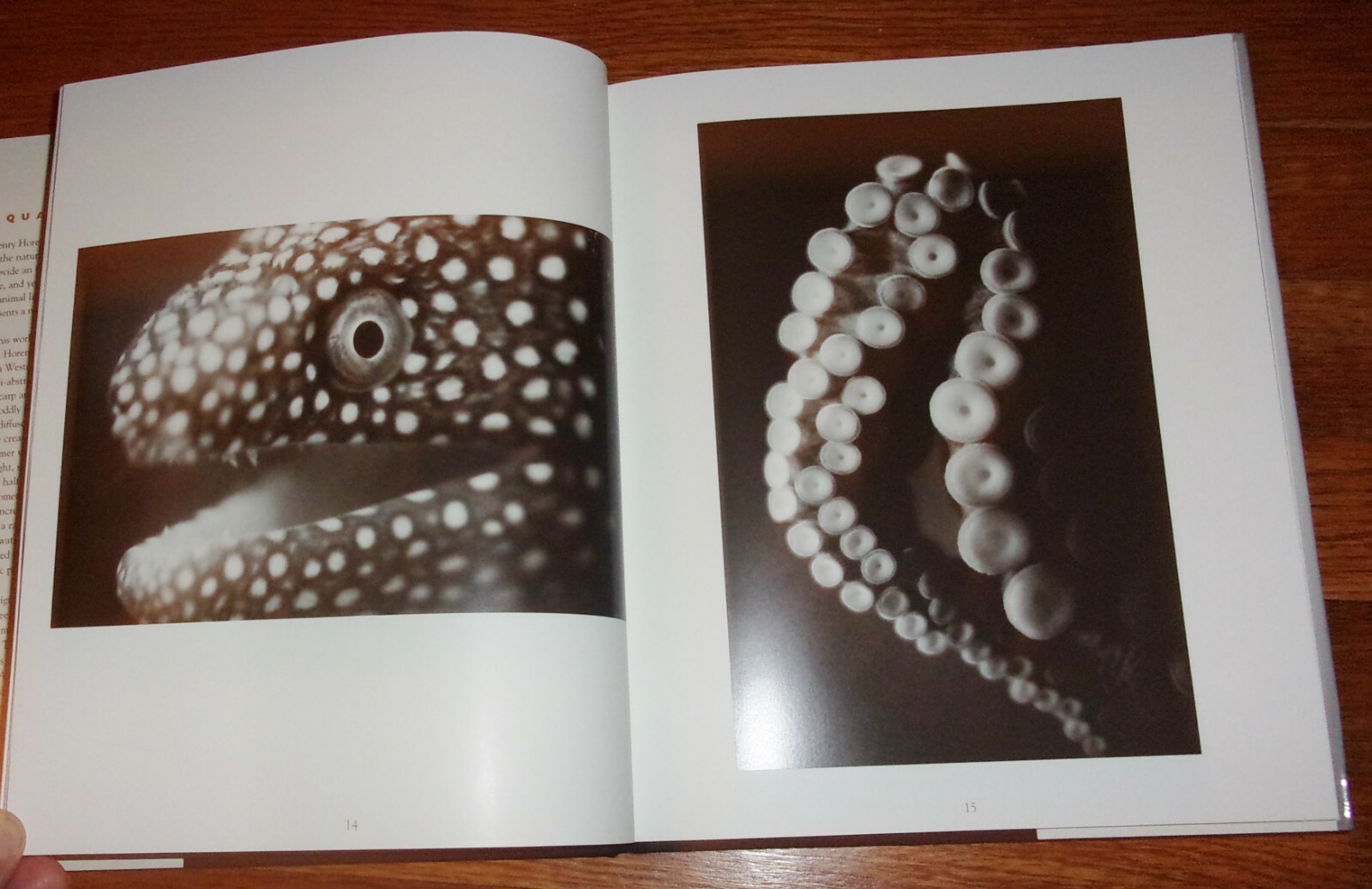 AQUATICS-Abstract Aquatic Life Photographs-Henry Horenstein-BRAND NEW 1st HC dj!