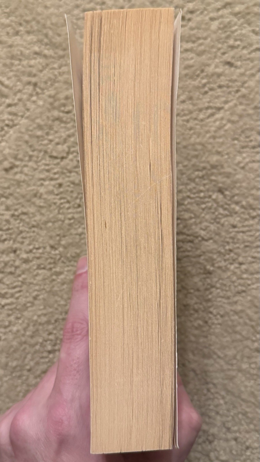 THE POISONWOOD BIBLE BY BARBARA KINGSOLVER 1999 HARPER PERENNIAL TRADE PAPERBACK