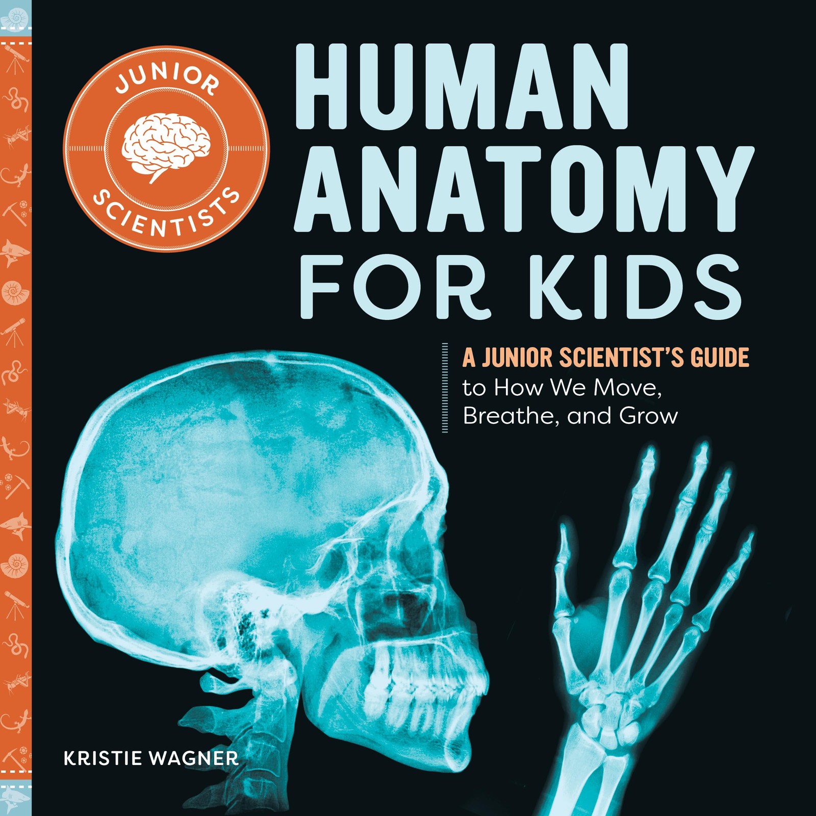 Human Anatomy for Kids: A Junior Scientist’s Guide to How We Move, Breathe, …