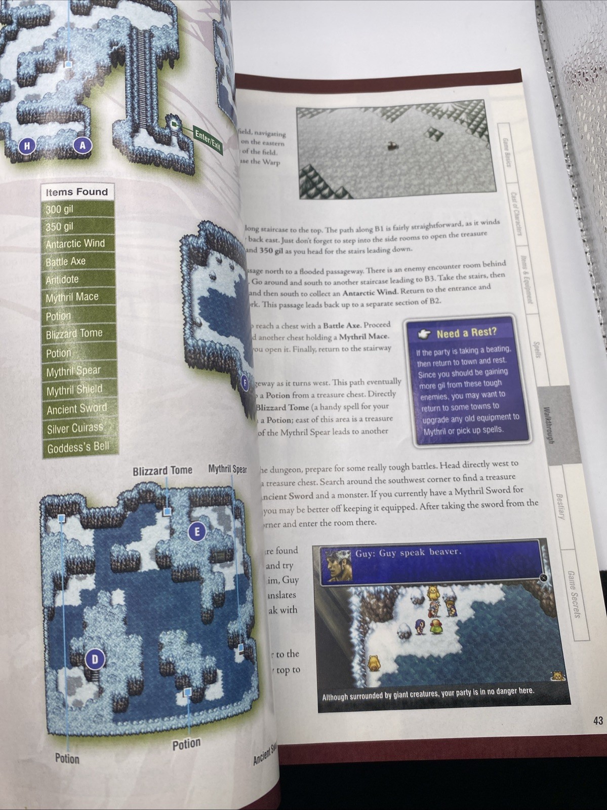 Final Fantasy II BradyGames Guide David Brothers 20th Anniversary