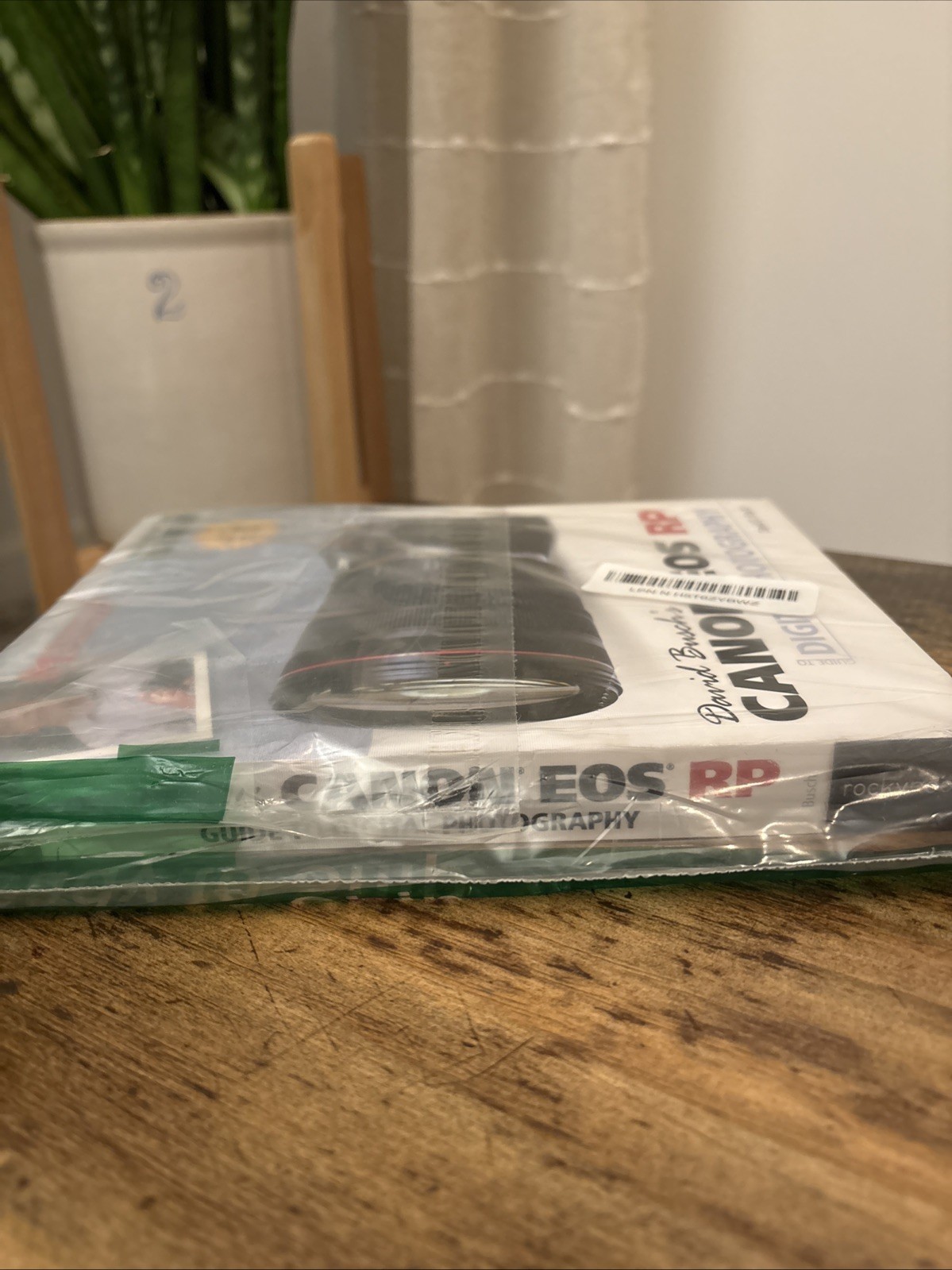 David Busch’s Canon EOS RP Guide to Digital Photography by David D. Busch 2019